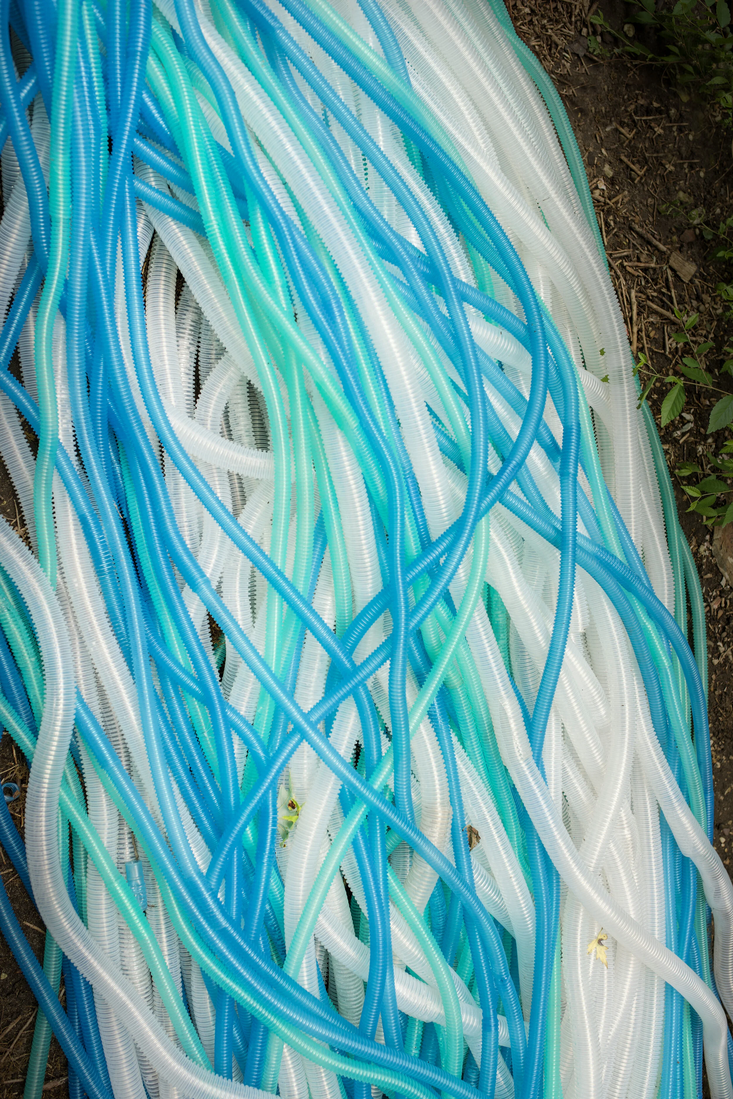 Photo by Gloria Araya - 4E3482FE-E825-4EB4-B7FD-A268999BB99E_1_201_a.JPG