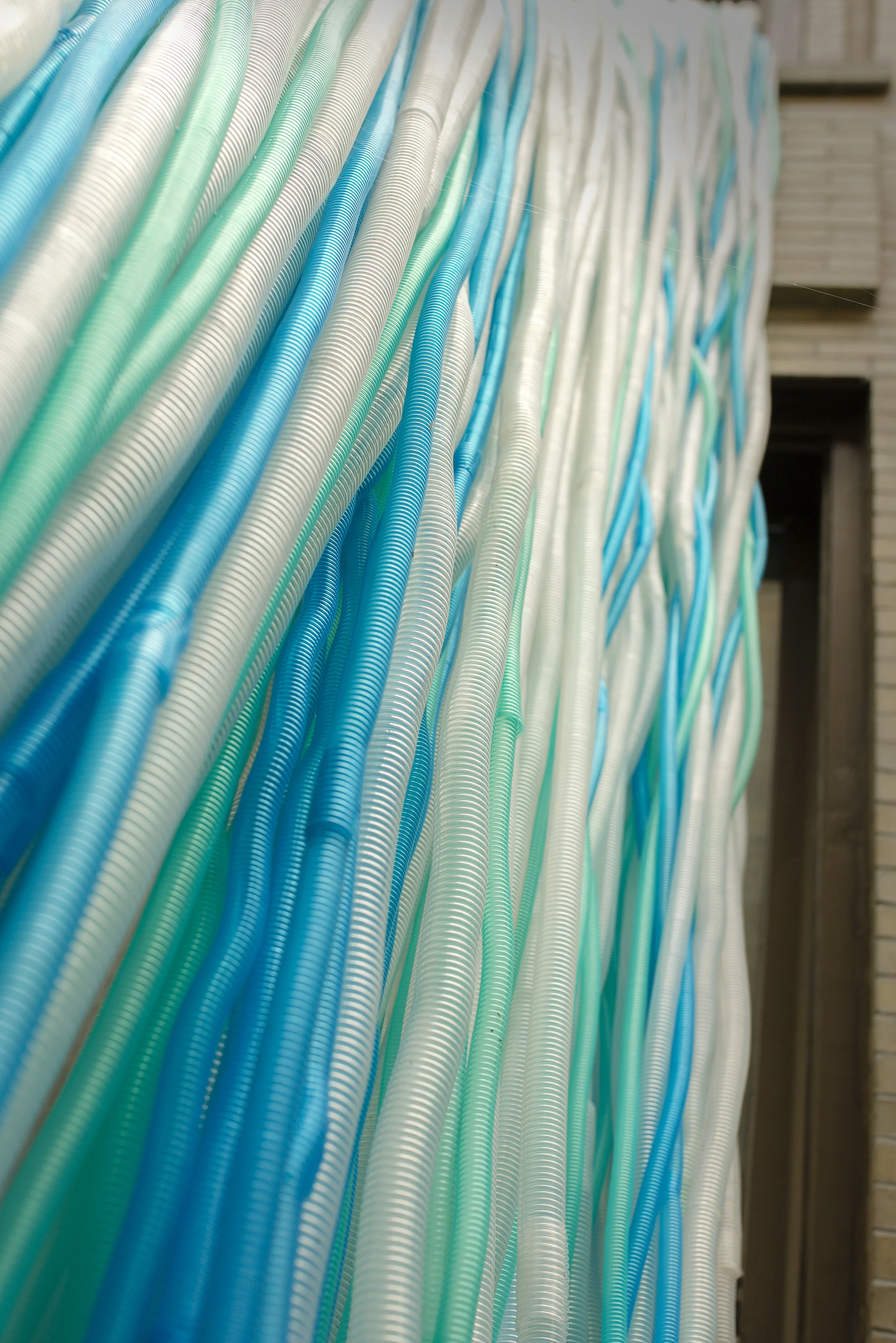 Photo by Gloria Araya - 54D344A6-0DFE-45C2-9AC4-5E257EA27A91_1_100_o.JPG