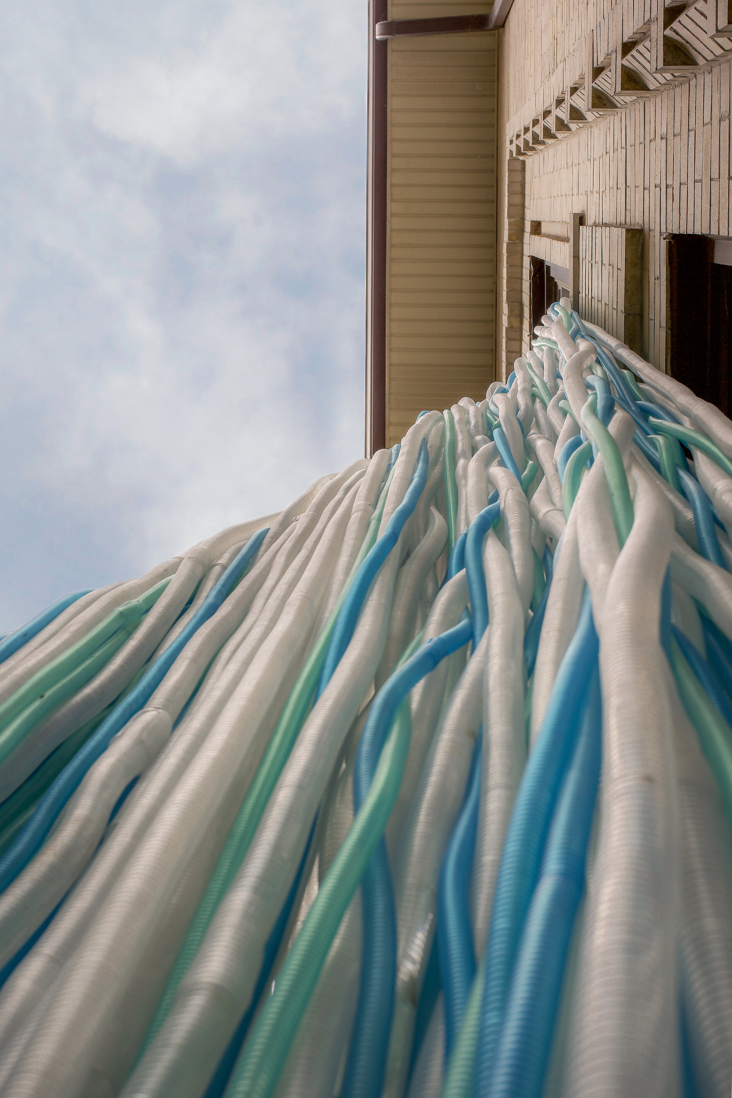 Photo by Gloria Araya - C1806A50-B5FB-454C-881A-863F15E371C2_1_100_o.JPG