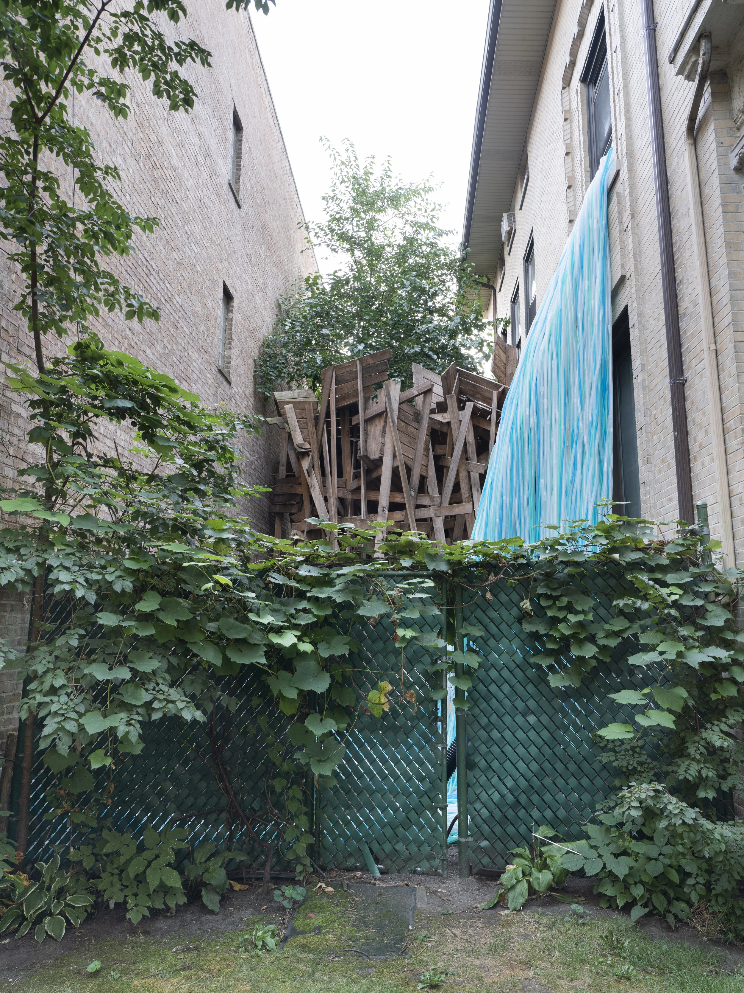 Photo by Jesse Meredith - DSC07977 (1) 2.JPG