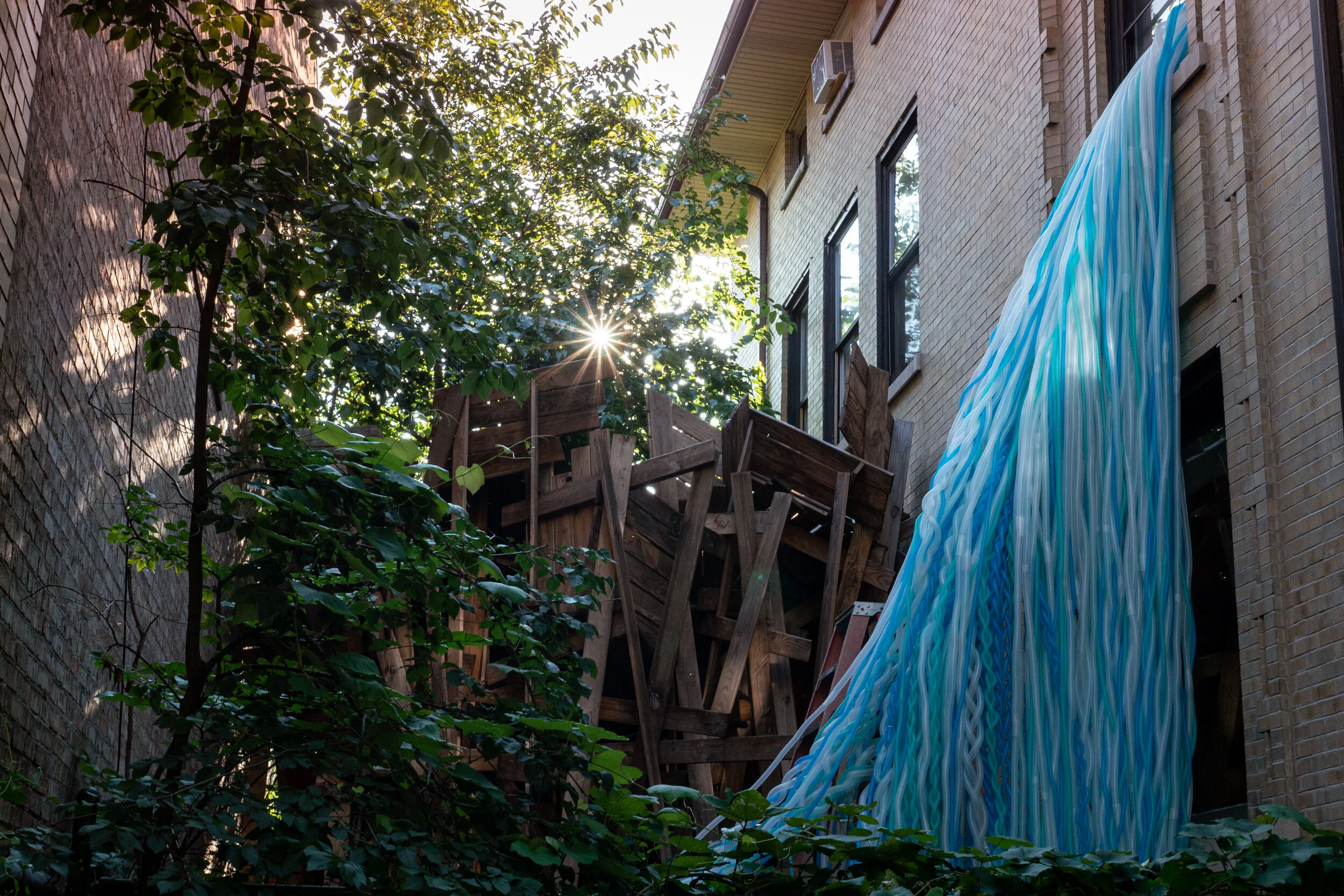 Photo by Ji Yang - _1960768.JPG