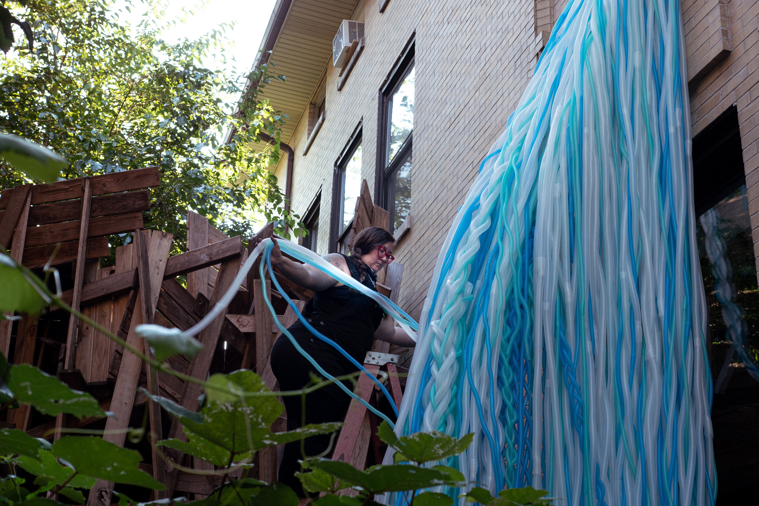 Photo by Ji Yang - _1960824.JPG