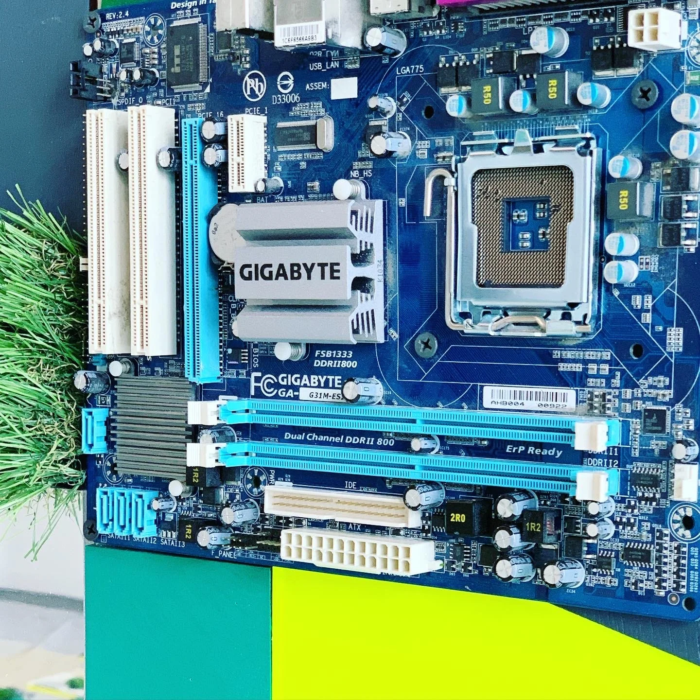 C8216FCA-C745-4B45-B595-2756CFA62519 2.JPG