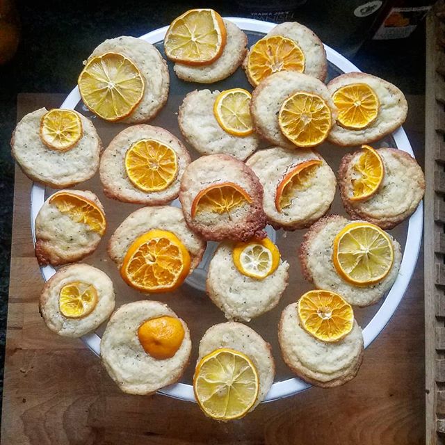 Sweet, salty, peppery, sour. These citrus salt &amp; pepper cookies have it all...
.
.
.
.
.
.
.
.
#cookies #christmascookies #christmascooking #holidays #treats #holidaytreats #meyerlemon #clementines #lemon #orange #salt #pepper