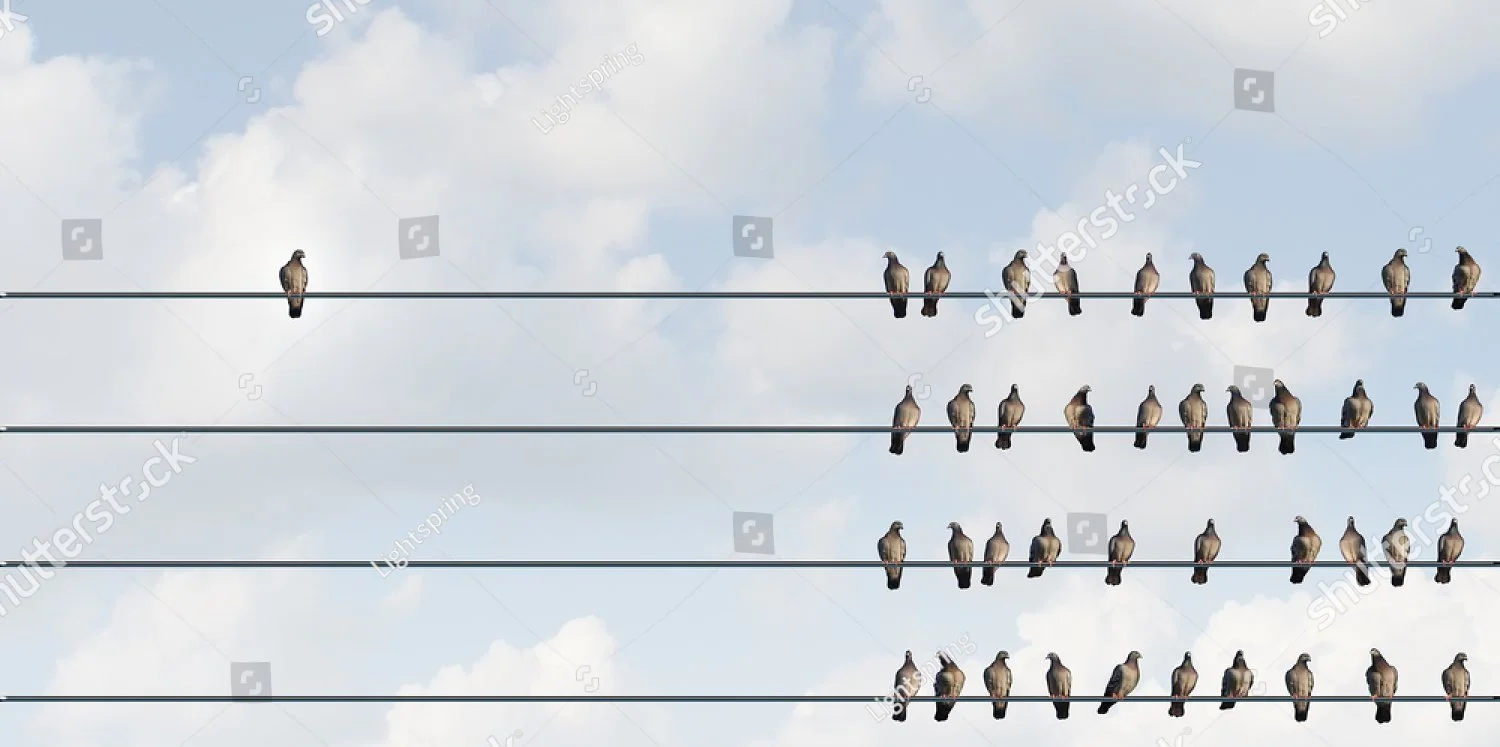 stock-photo-individuality-symbol-and-independent-thinker-concept-and-new-leadership-concept-or-individuality-as-296280893 (1).jpg
