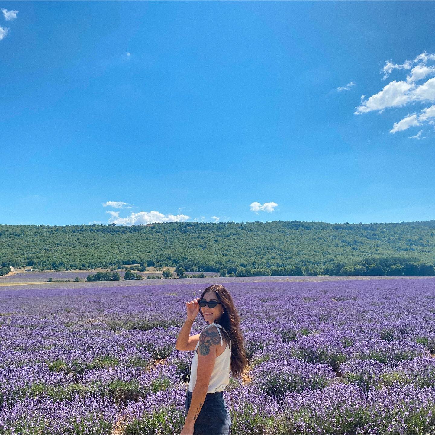 Lavender field of dreams