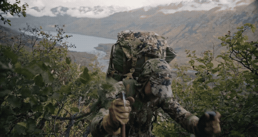 Screen Recording 2026-06-19 at 3.55.10 PM (1).gif