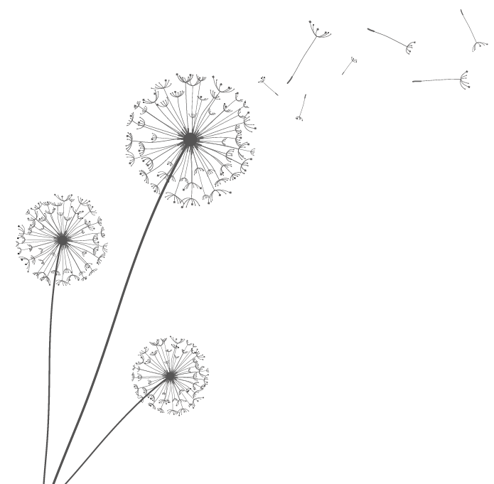 17. Dandelions