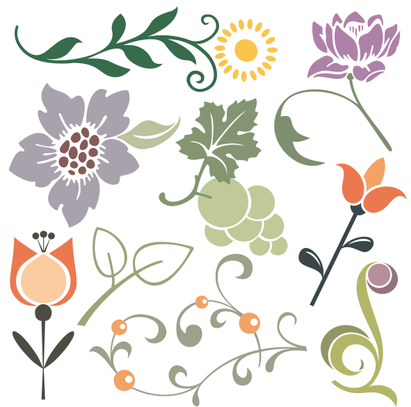10. Plants 1