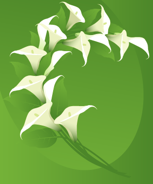 9. Tulips