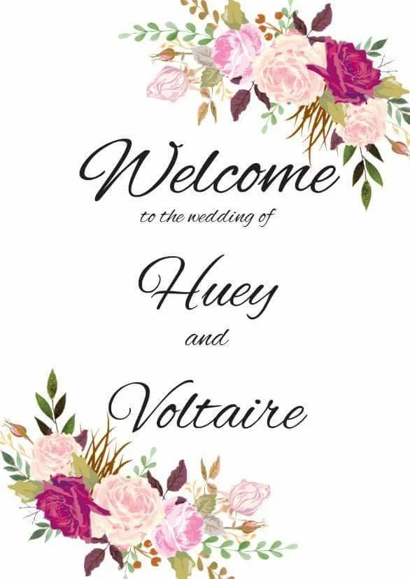 Wedding of Huey &amp; Voltaire   24th September 2016
