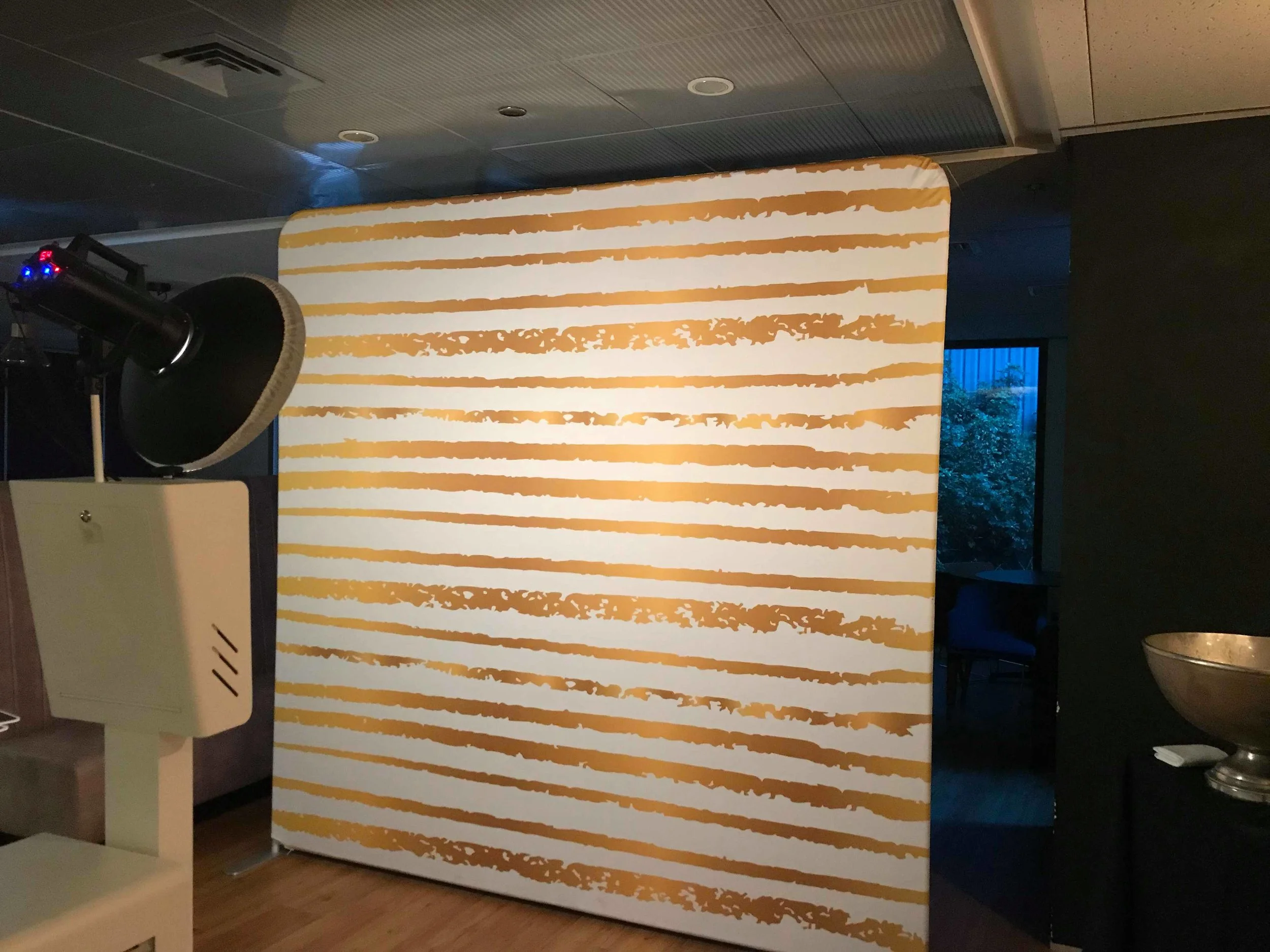 White and Gold Backdrop Special Snaps