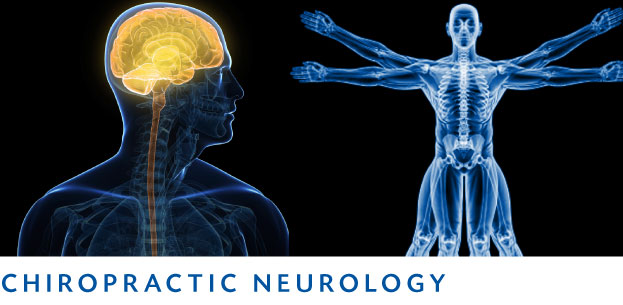 chiro_neuro.jpg