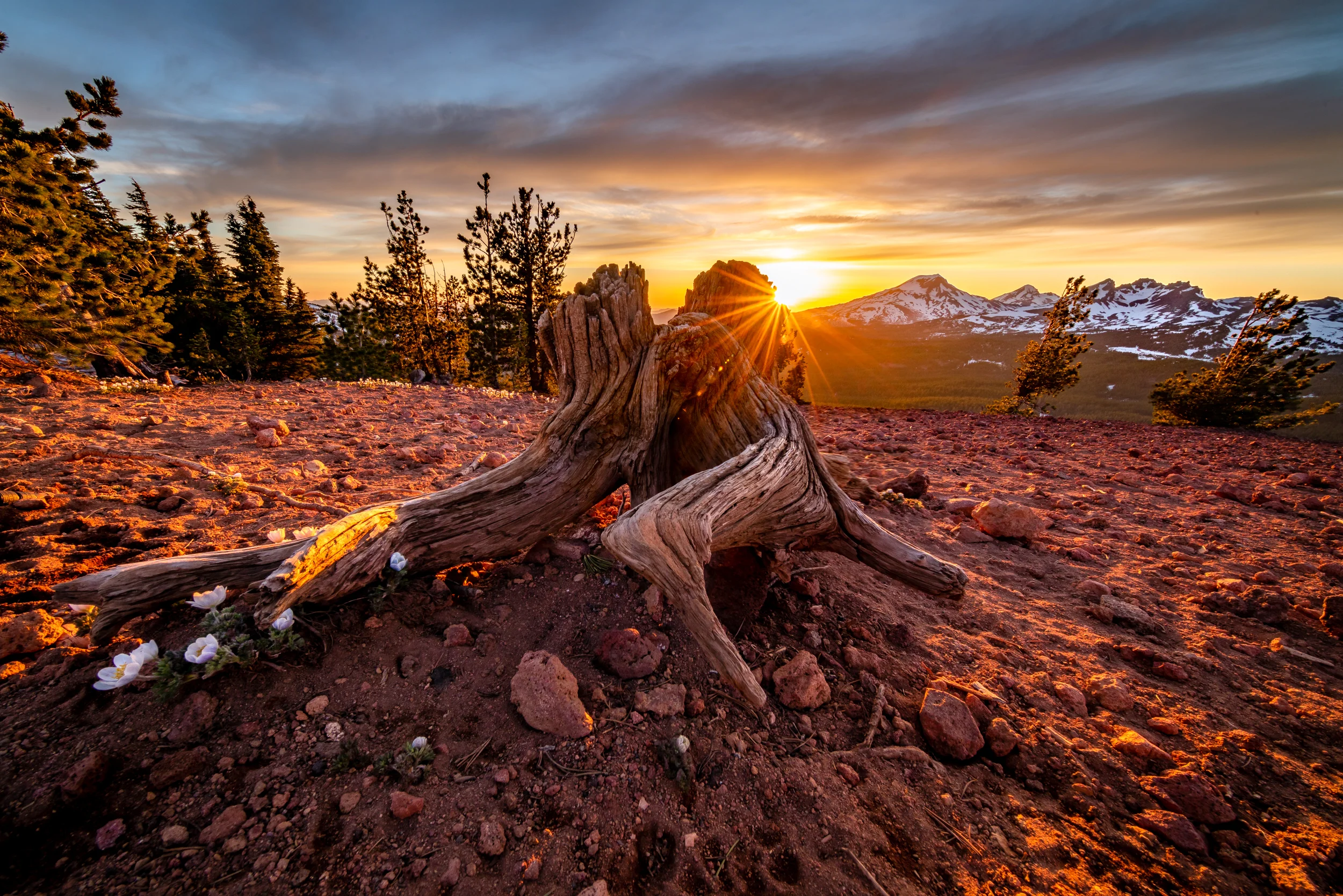 _12A8752-Edit.jpg