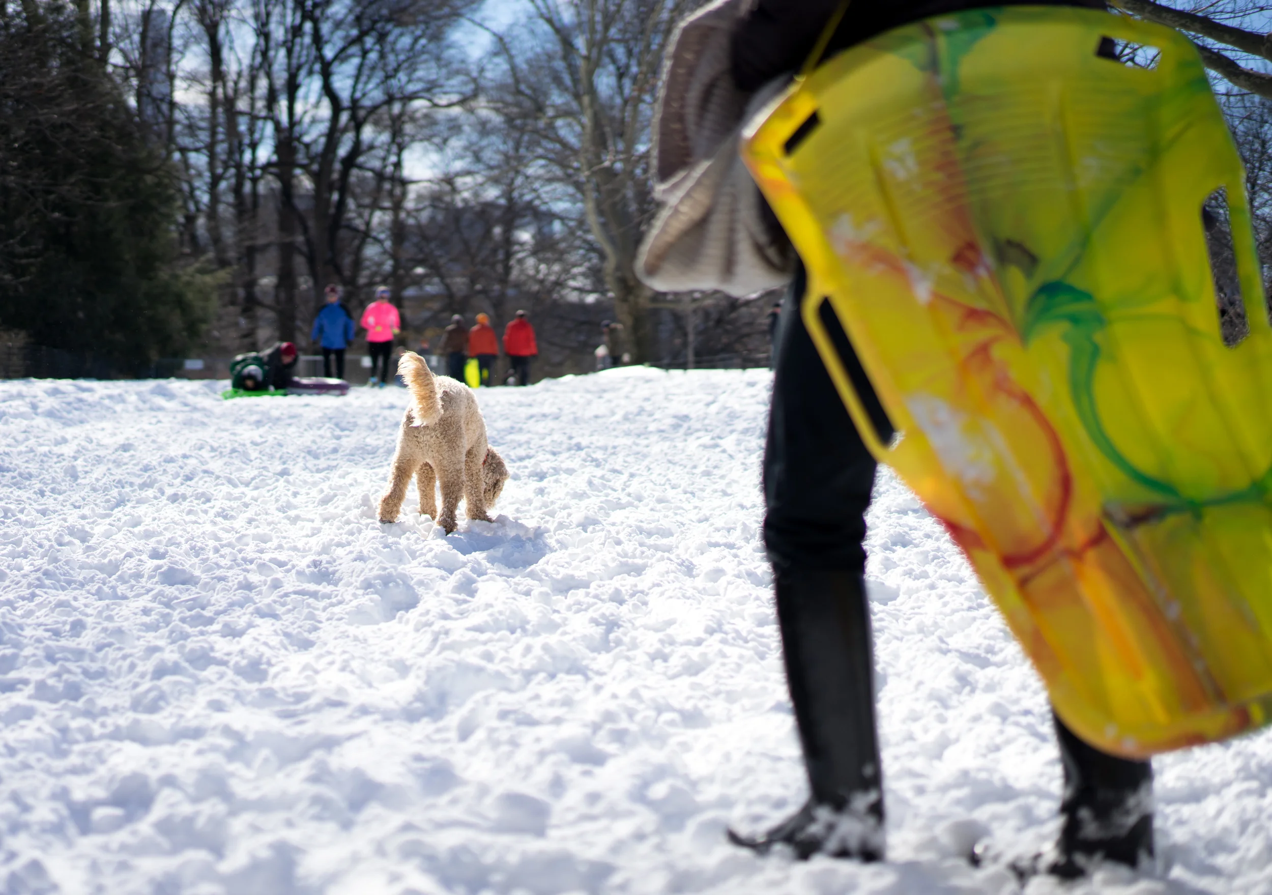 20160124-DSC06352.jpg