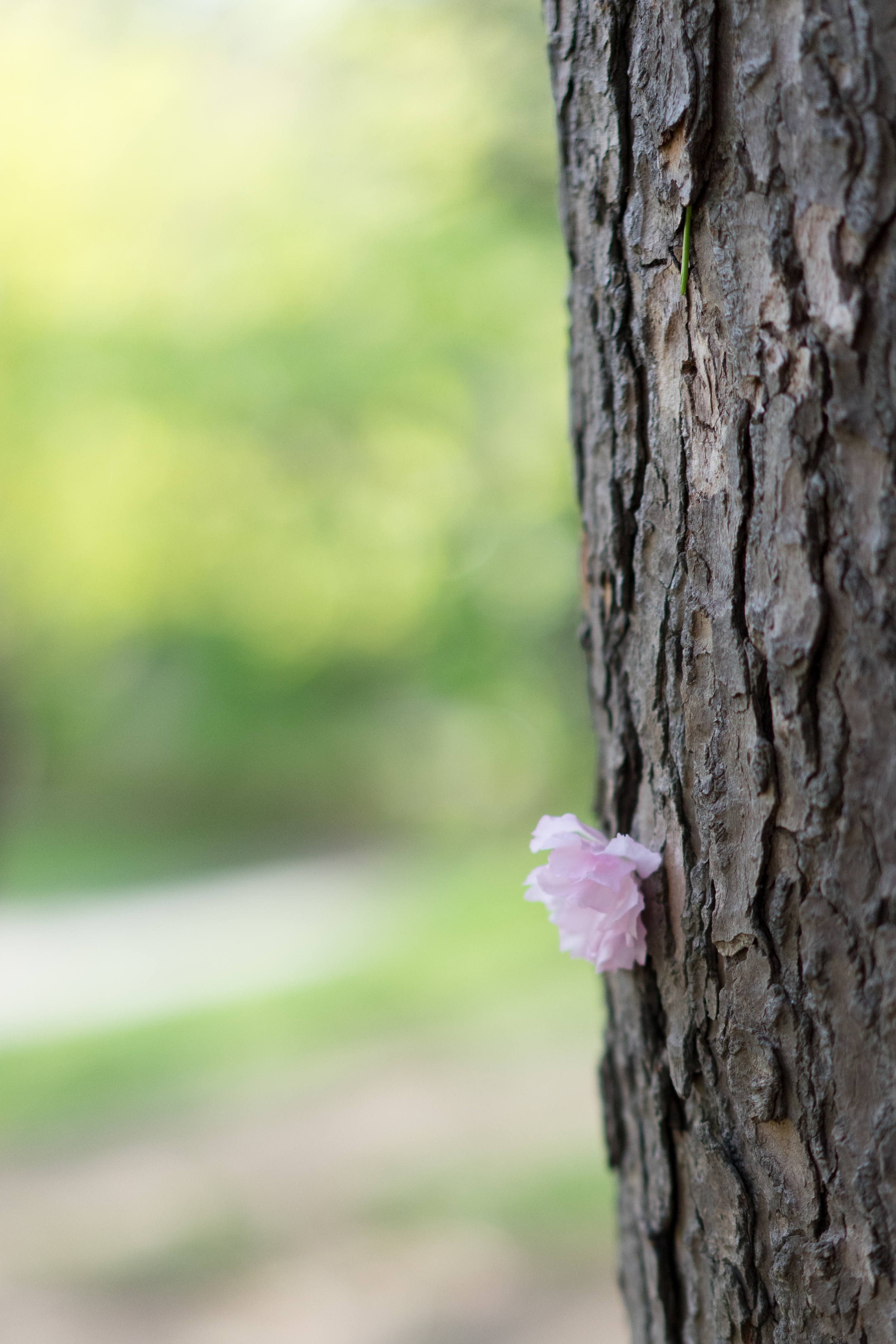 20160430-DSC01209.jpg