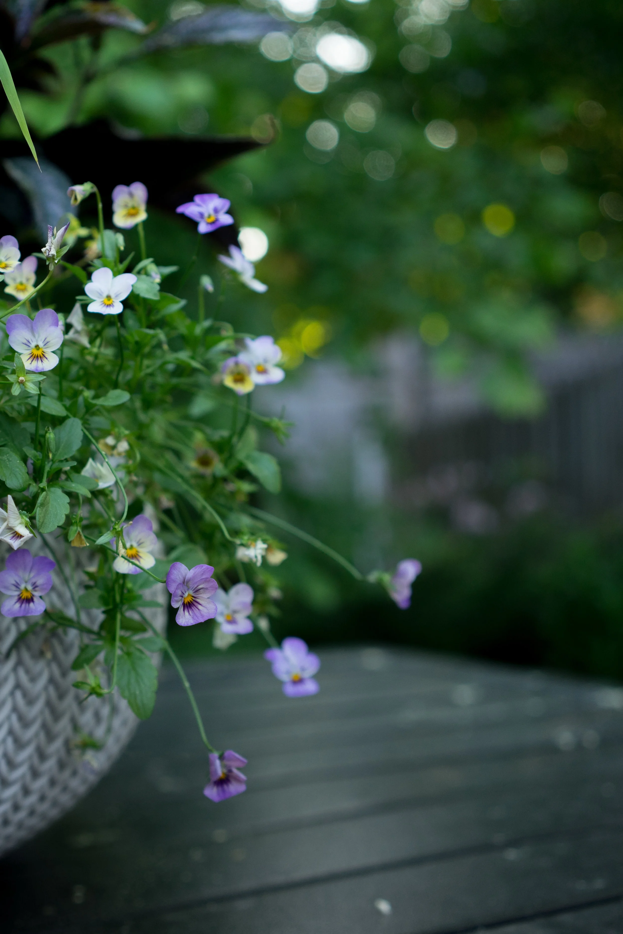 RE Photography-00862.jpg