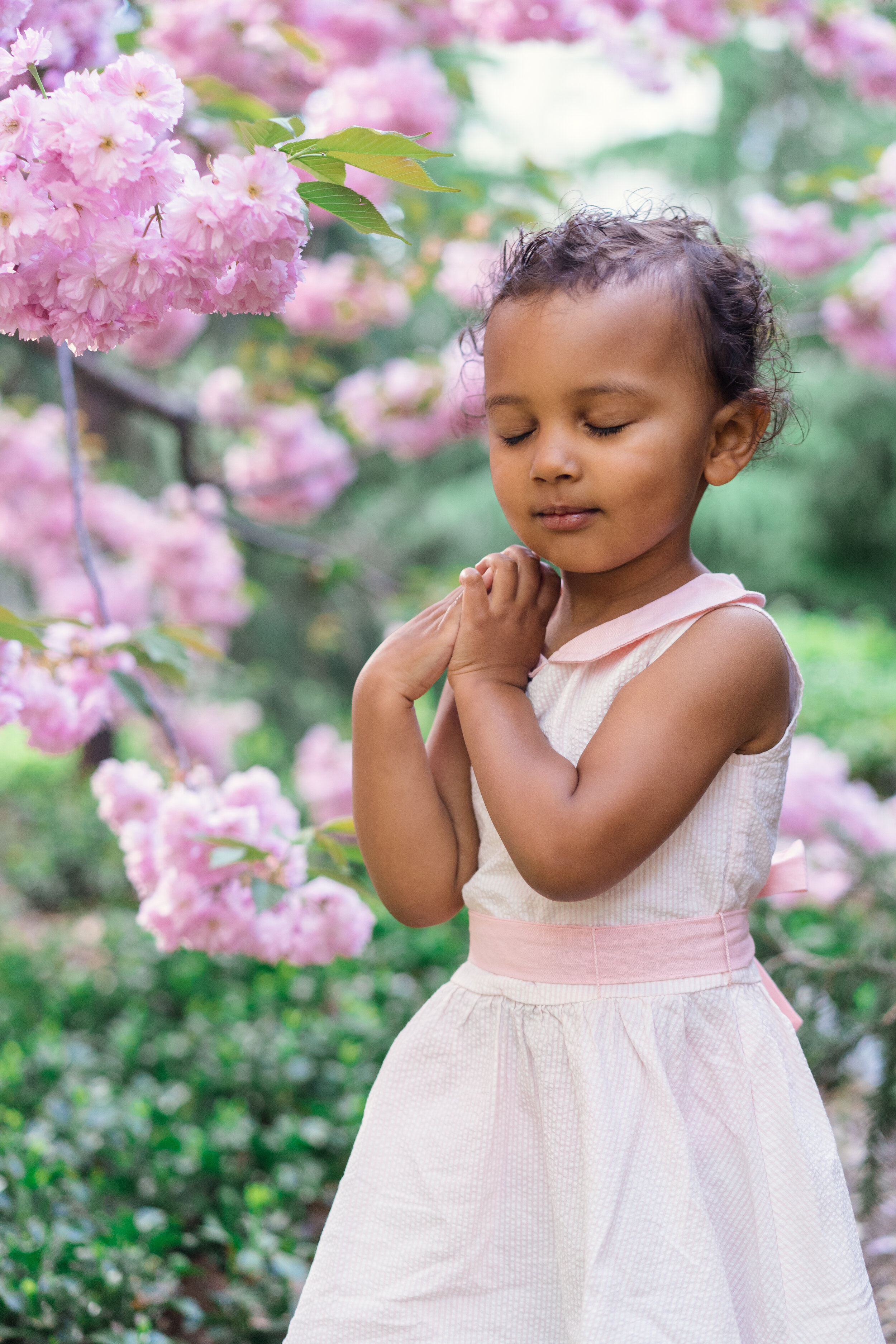 Cherry Blossom child portrait in Washington Square Park