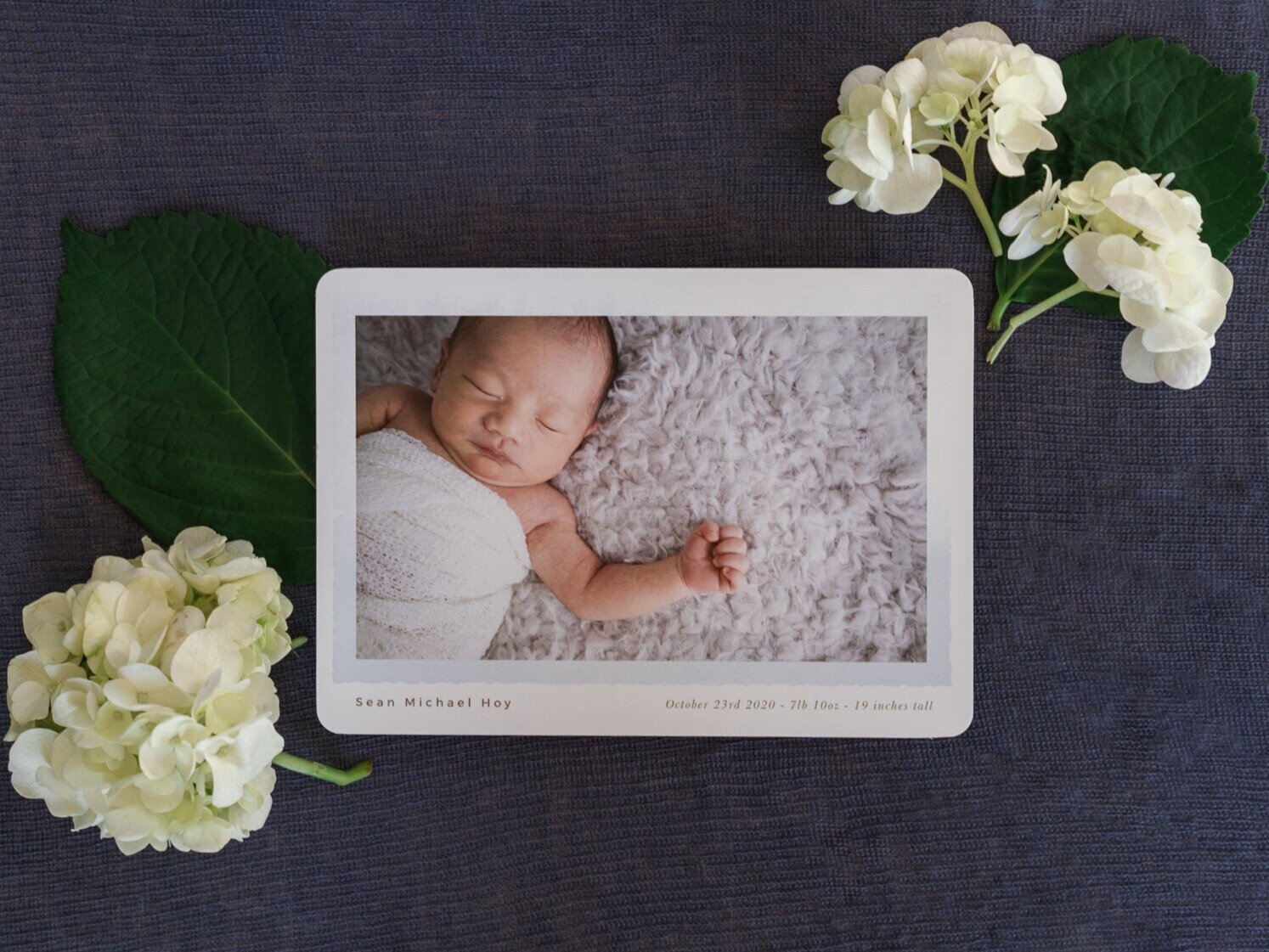 Baby Announcement Photo Card from Basic Invite