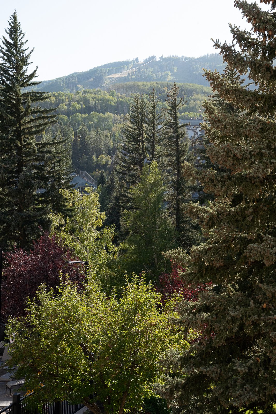 The_Charter_Beaver_Creek_Vail_Wedding_Rachael_Elana_Photography-01576.jpg