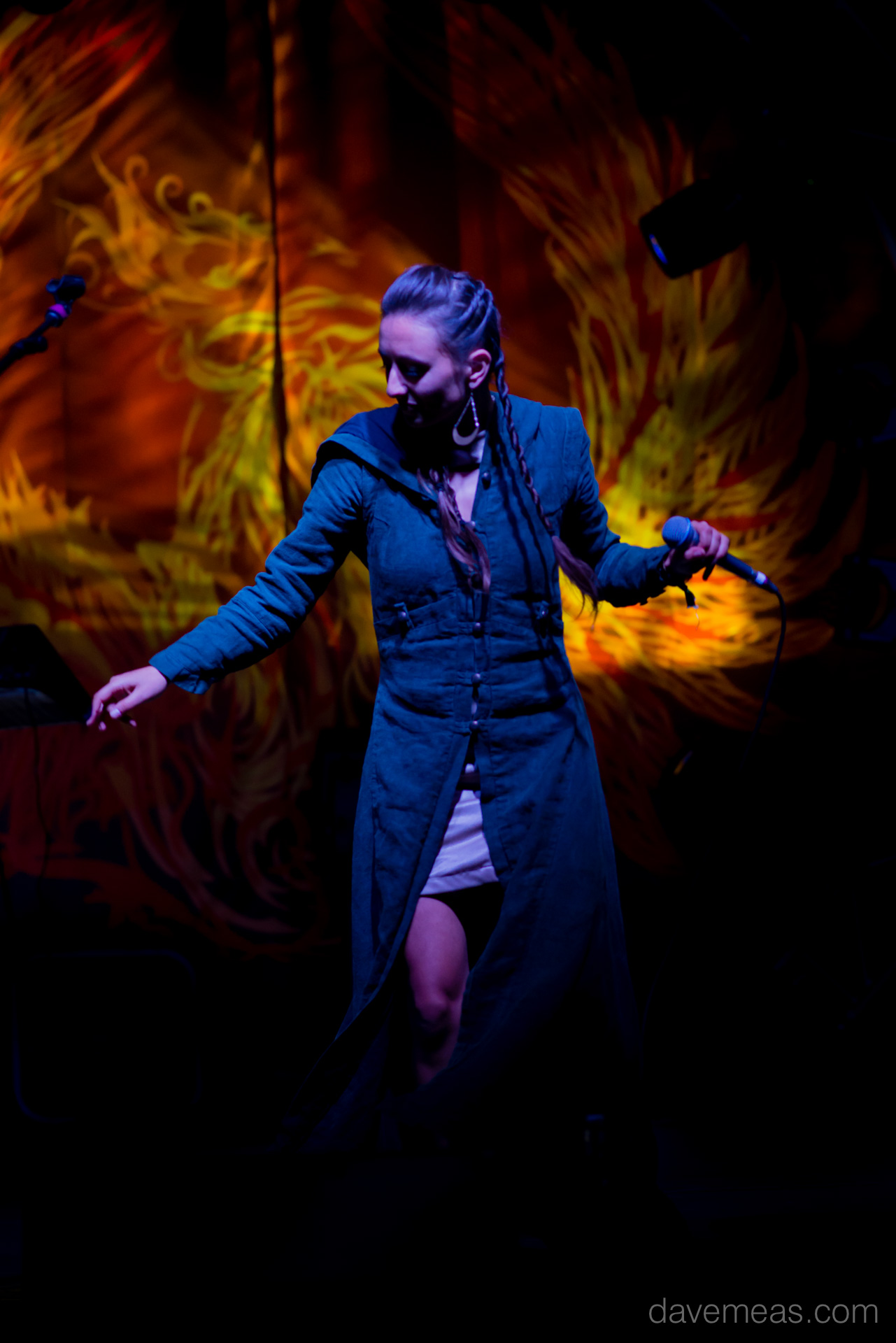 Ayla Nereo of Wildfire at Arise Music Festival
