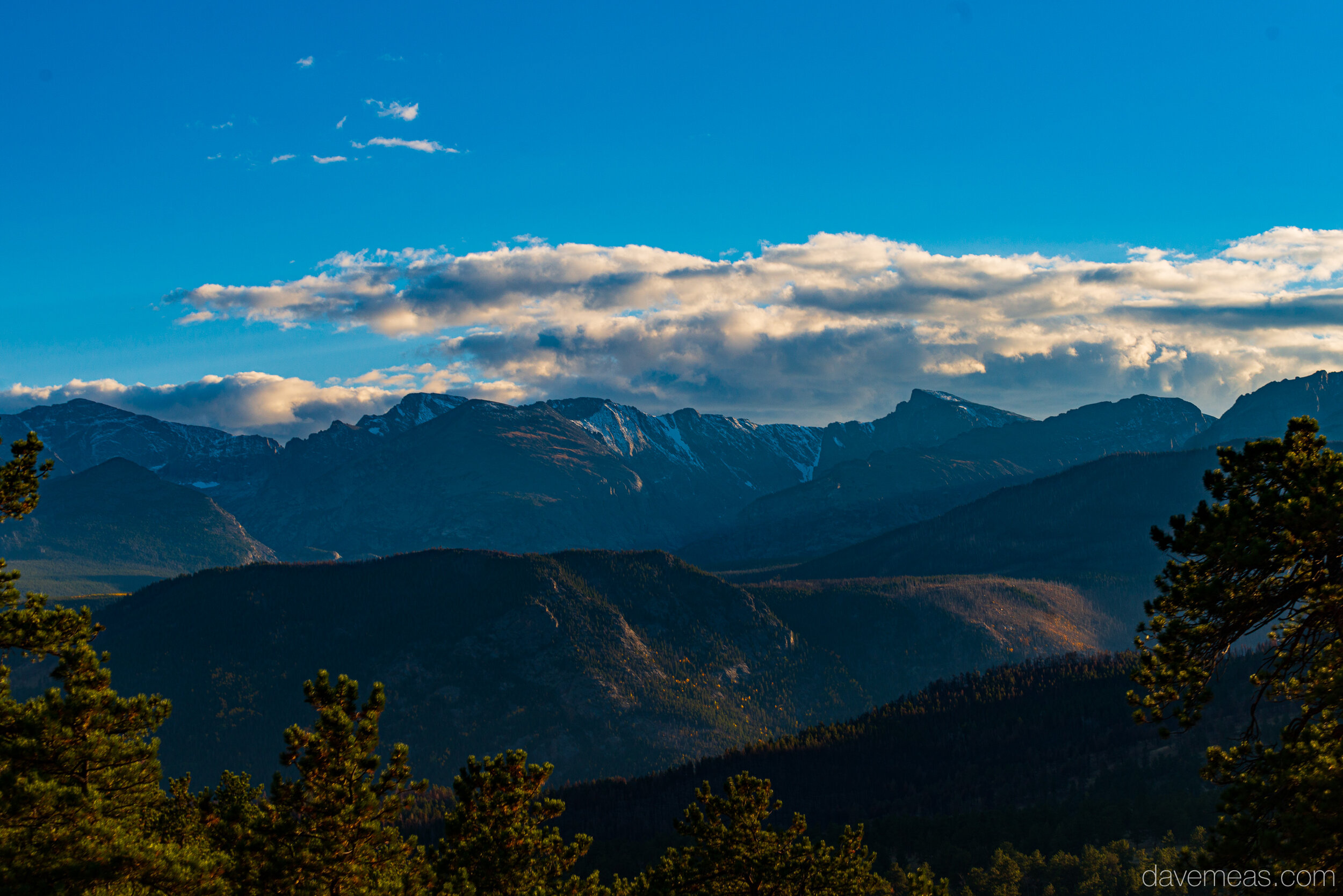 rmnp-elk-colors-1.jpg
