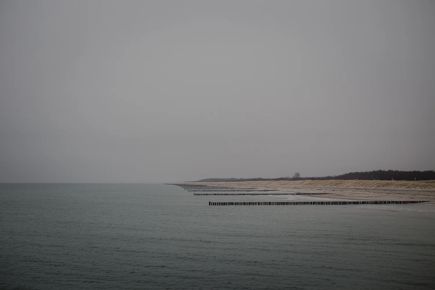 wardow 05.jpg