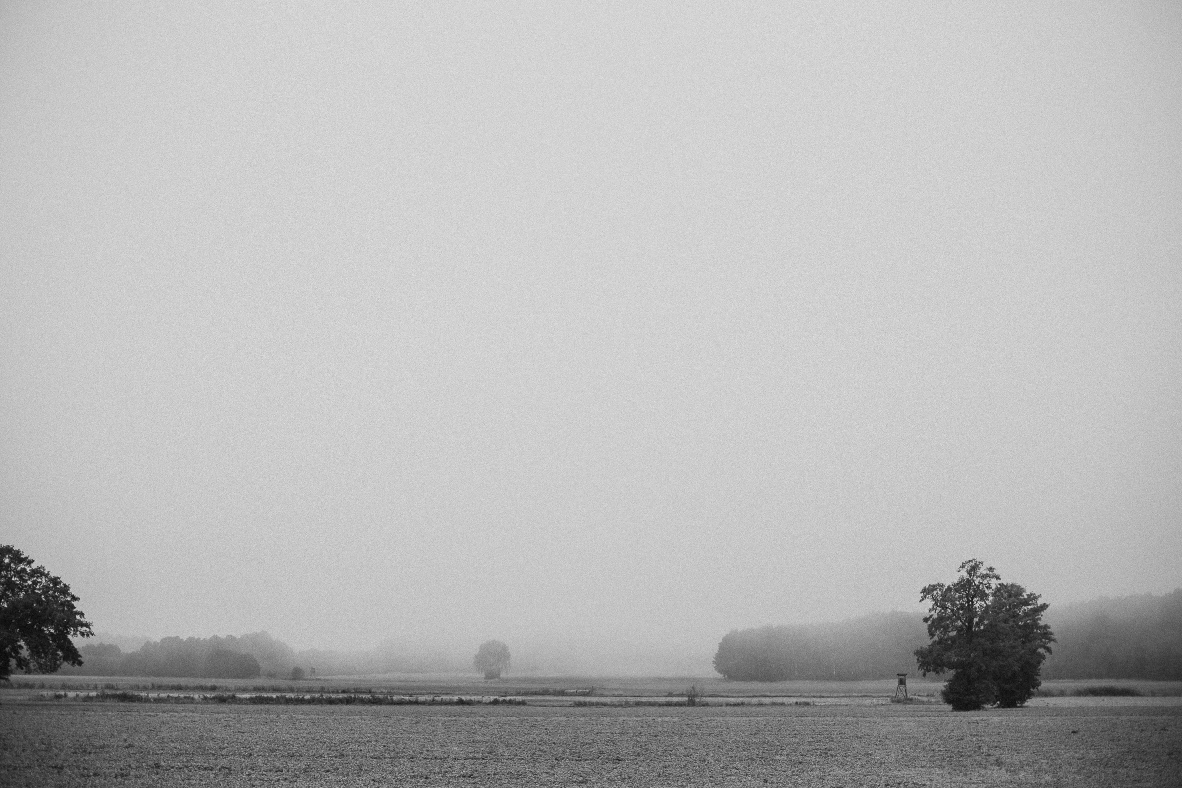 LAUSITZ_SPREEWALD-11.jpg