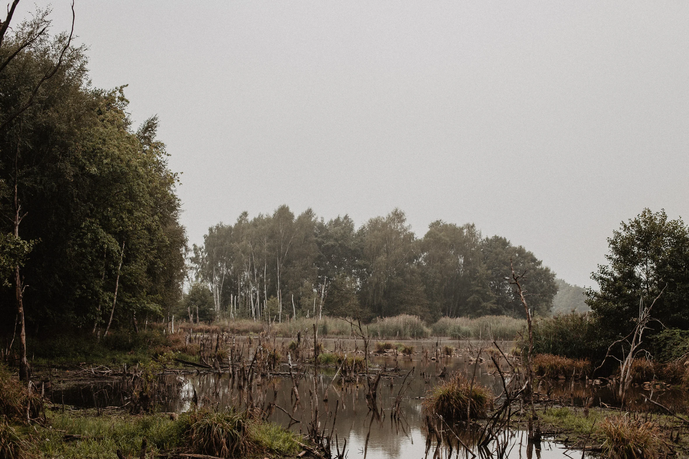 LAUSITZ_SPREEWALD-13.jpg