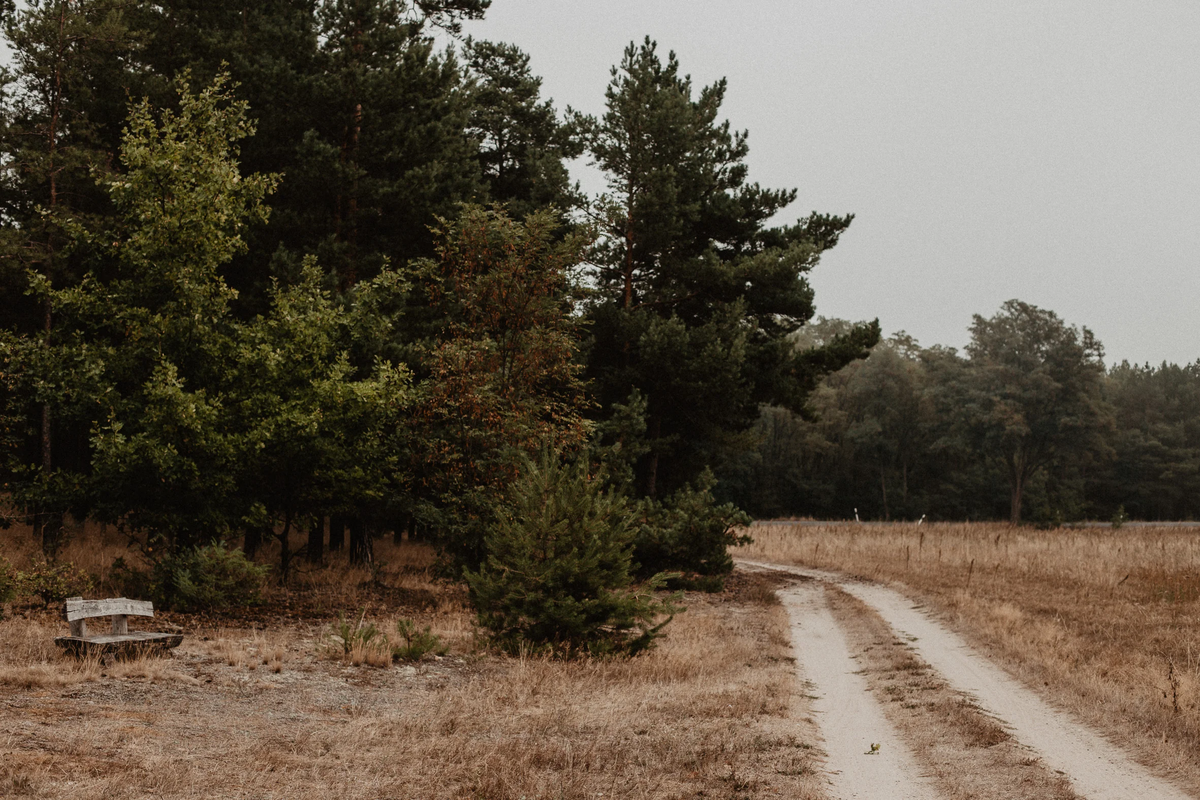 LAUSITZ_SPREEWALD-15.jpg