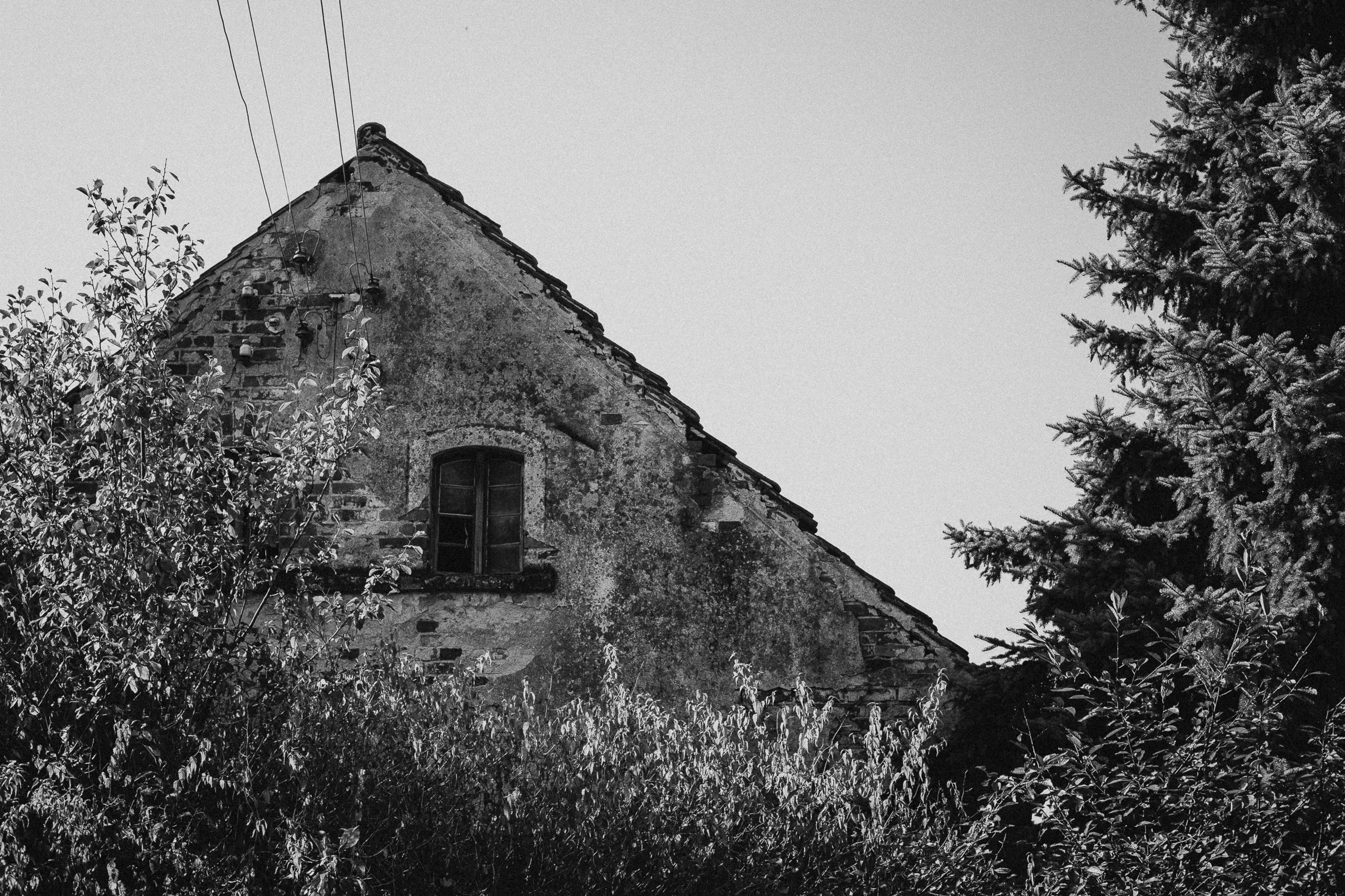 LAUSITZ_SPREEWALD-22.jpg