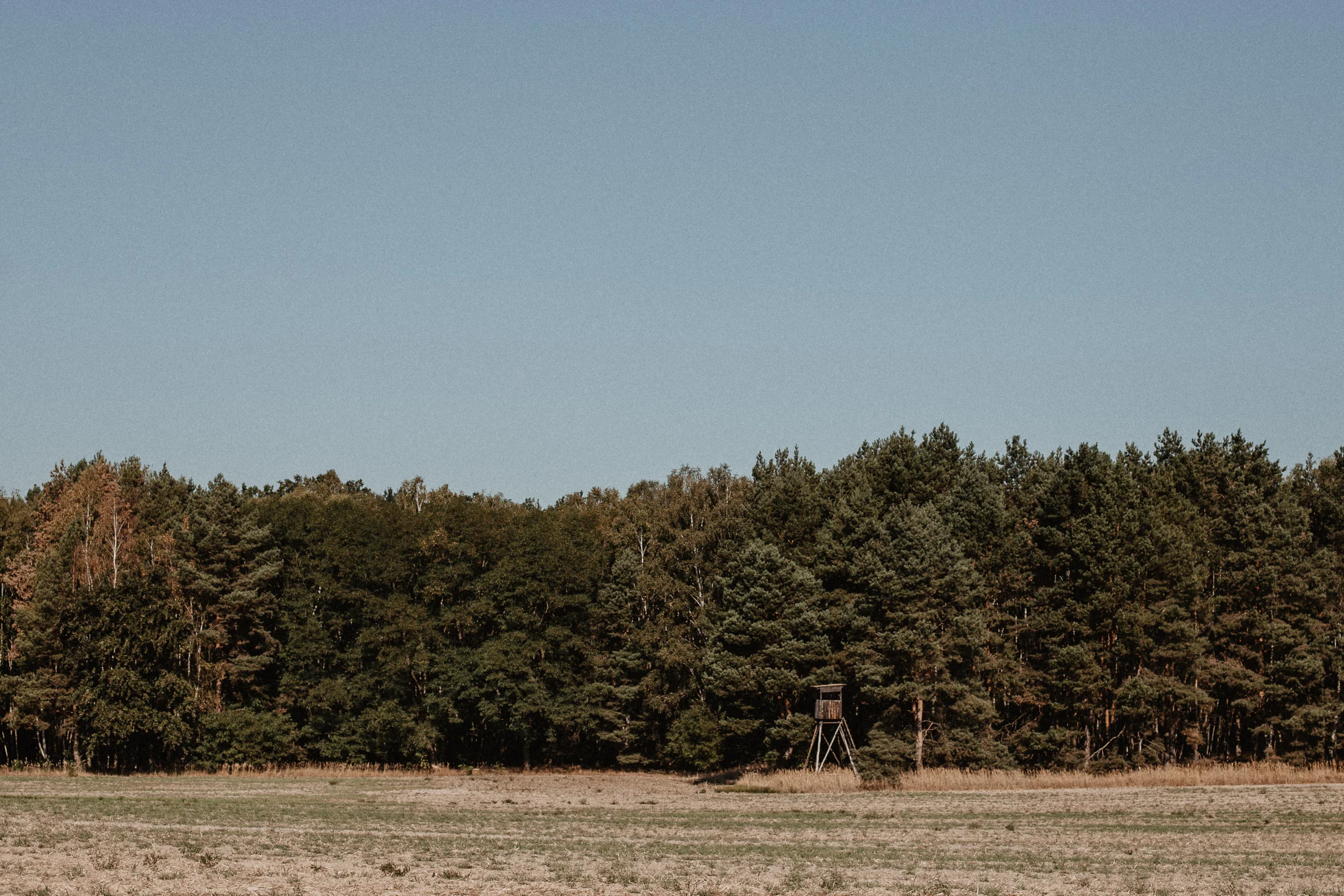 LAUSITZ_SPREEWALD-30.jpg