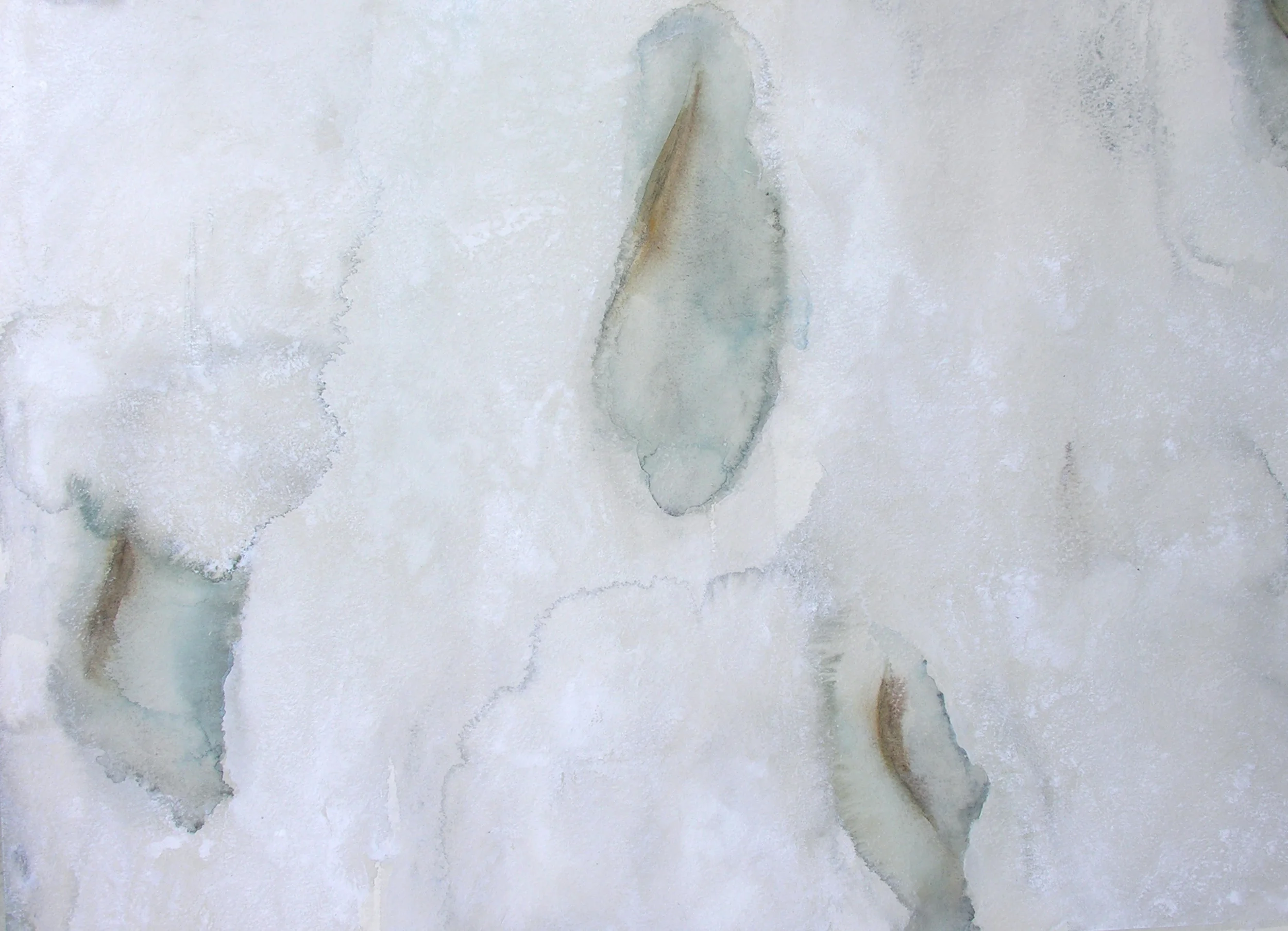 Koli, Melt V