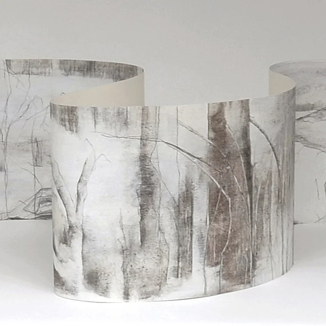 3 Walk in Progress. Koli.Winter.jpg