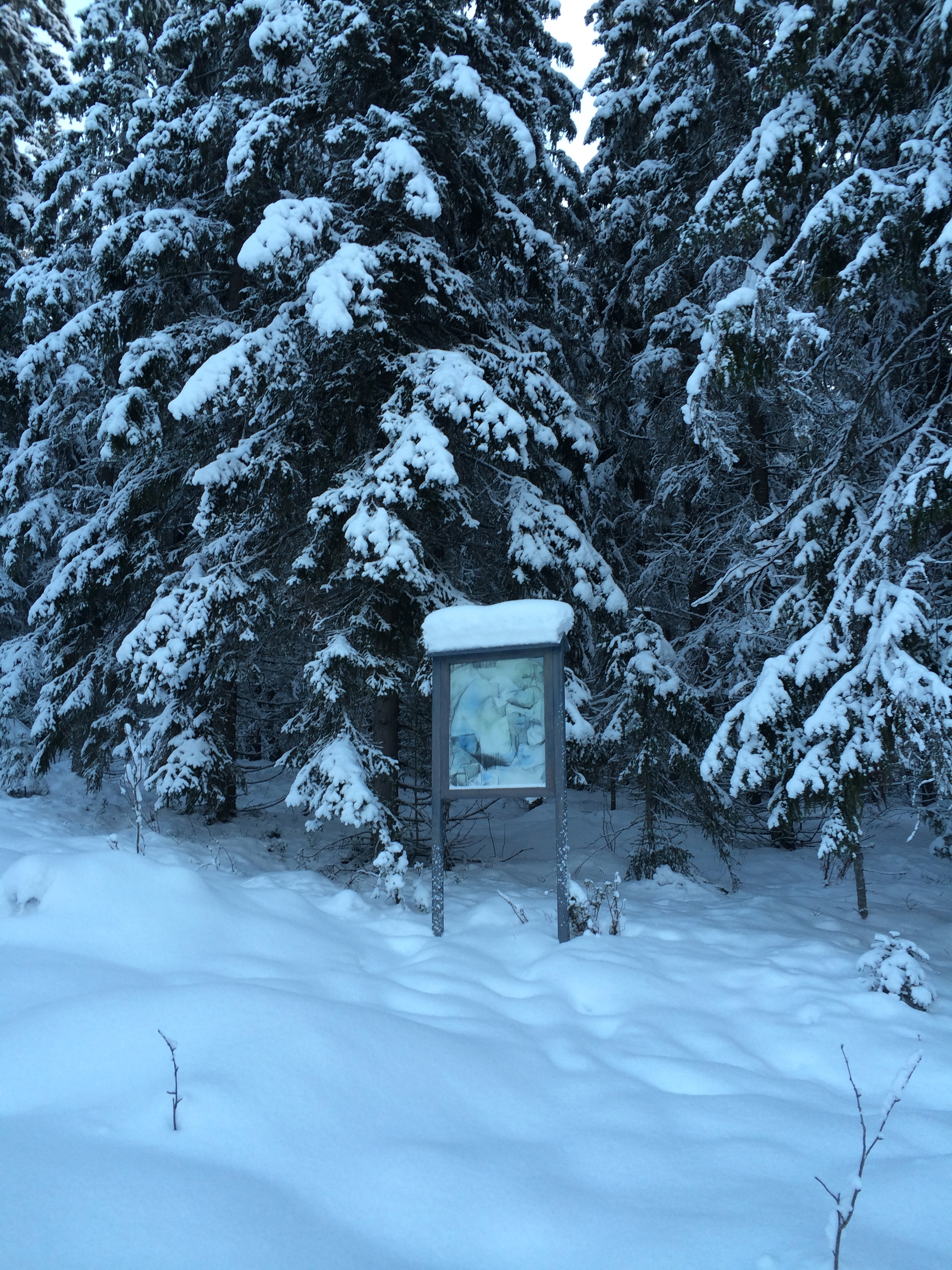 You Are Here II (in winter)