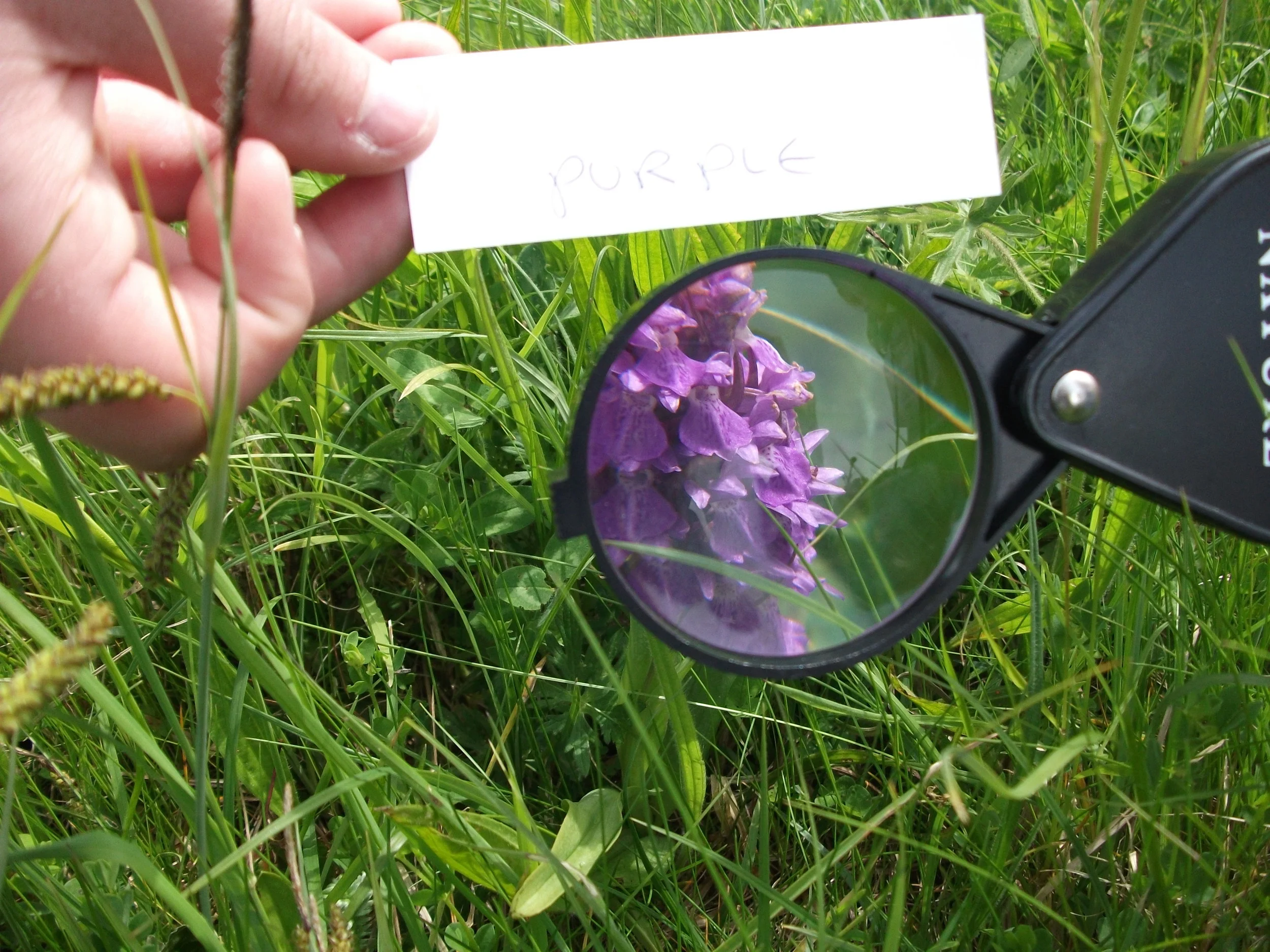 Breath of Fresh Air Saltfleetby, Wildlife Detective fieldwork