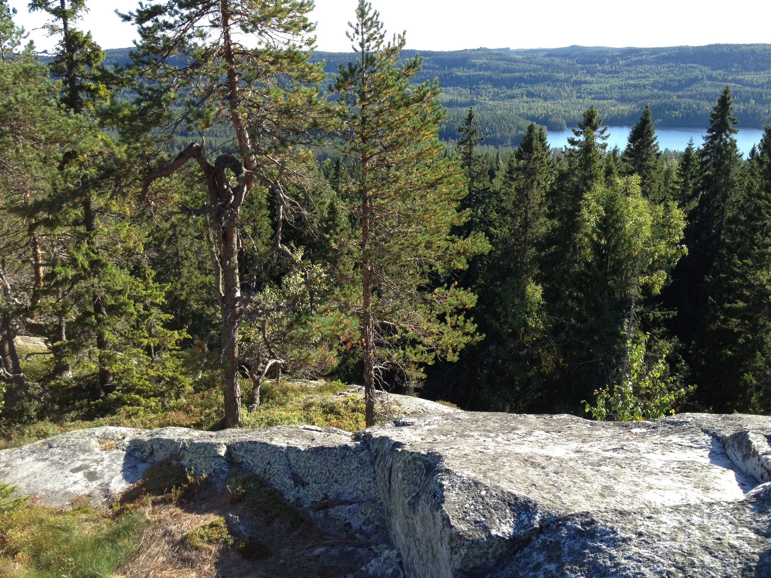 ​Paimenvaara (Koli National Park)