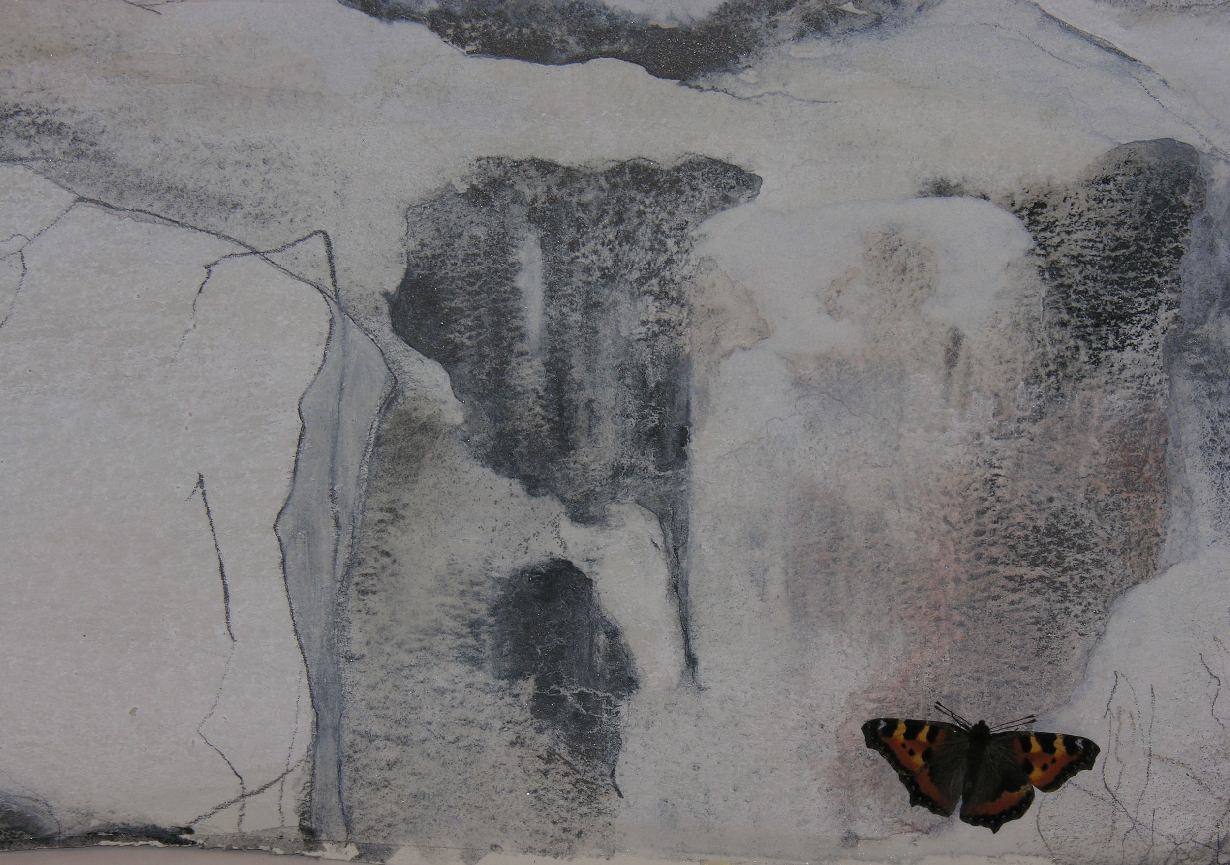 Butterfly in winter (Koli Ryynänen studio)