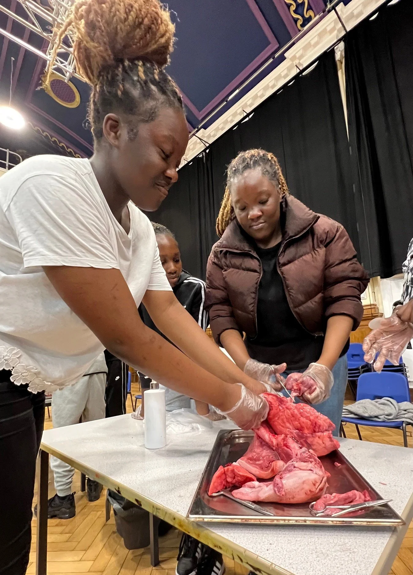 Twins Beih and Anyim