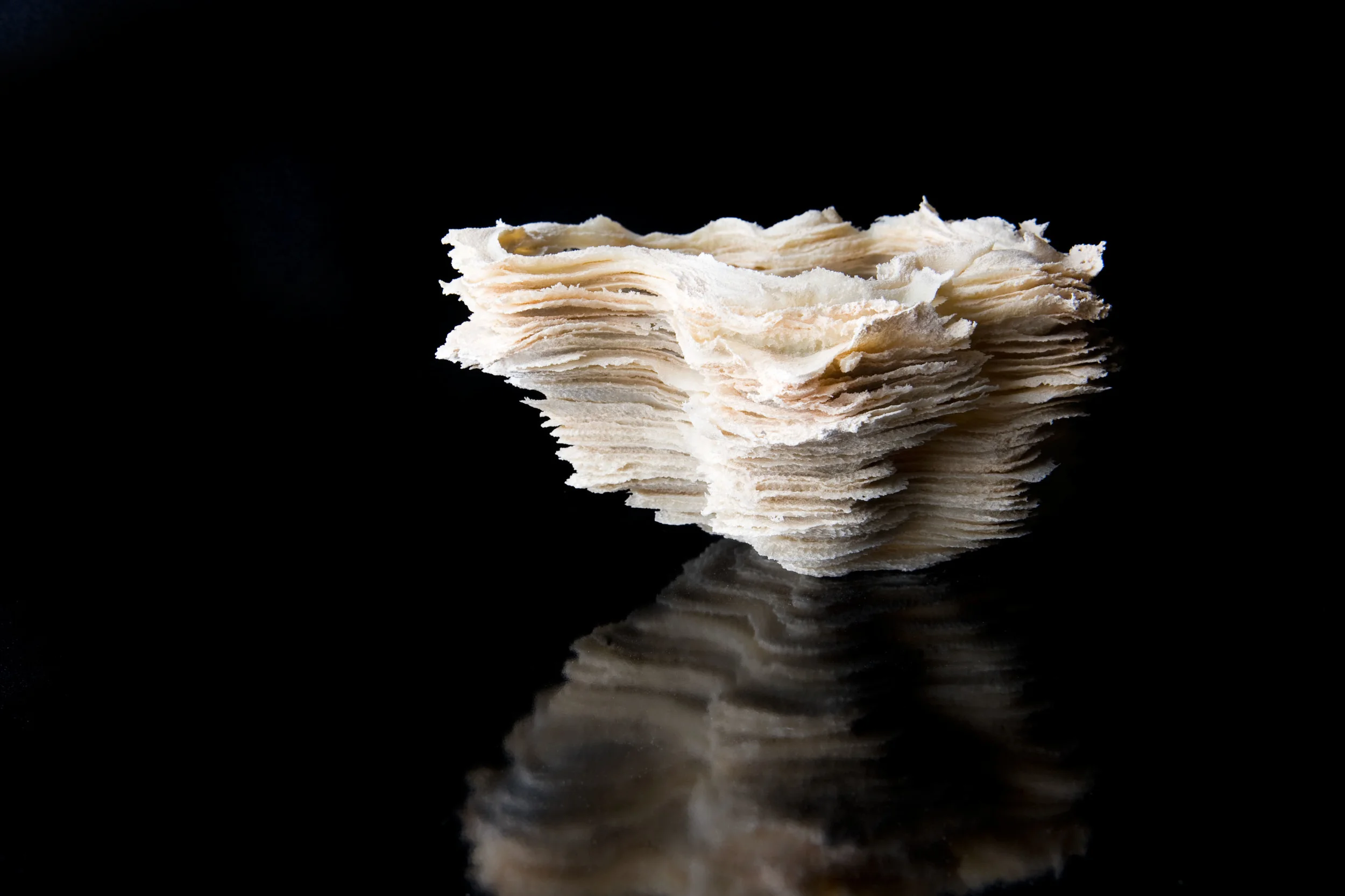 8.c wilson smith_ 2013_ Winter's Lichen_ Glass_ 8x8x6 inches.jpg