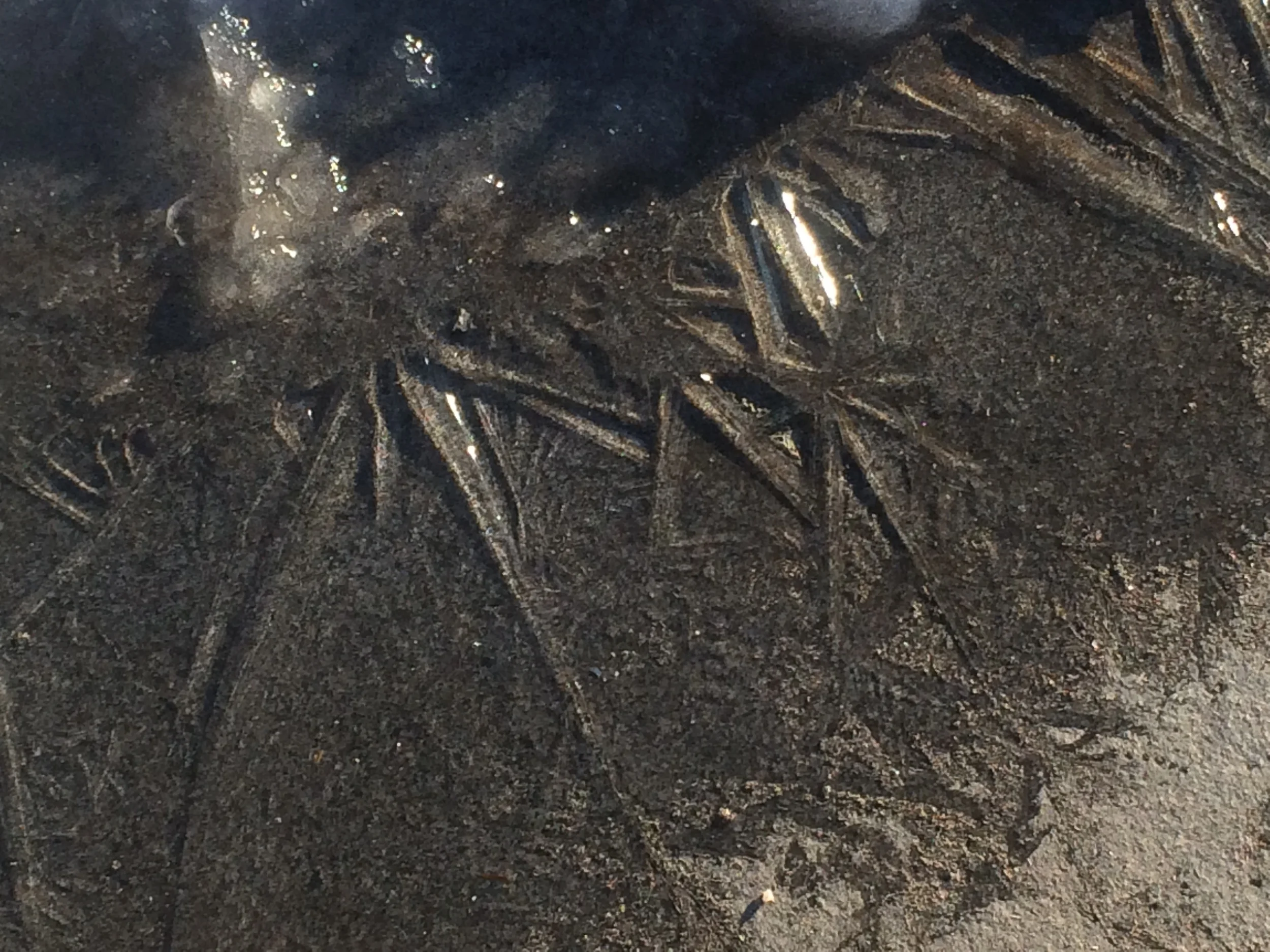 ice near a pond