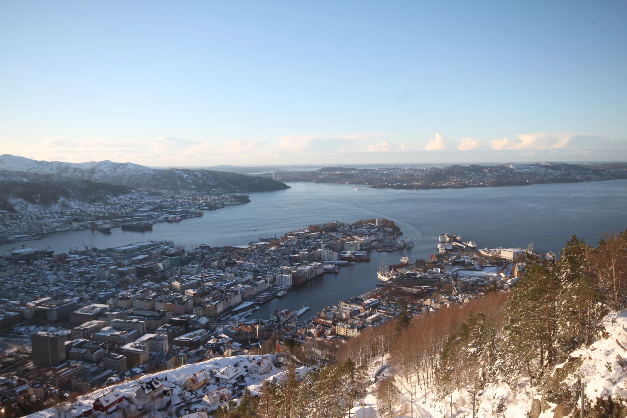 Bergen from above