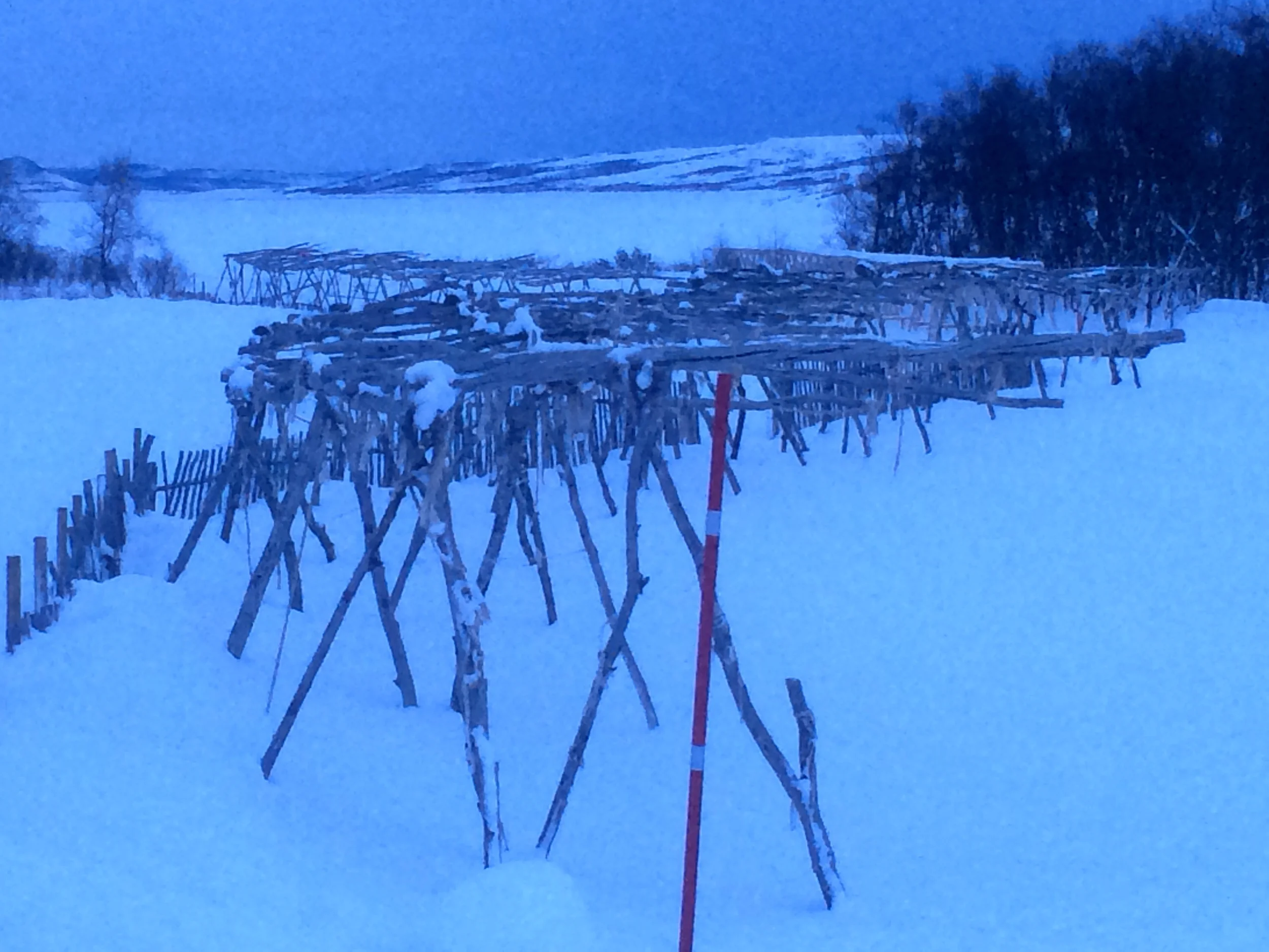 Fish drying racks at the Sami museum