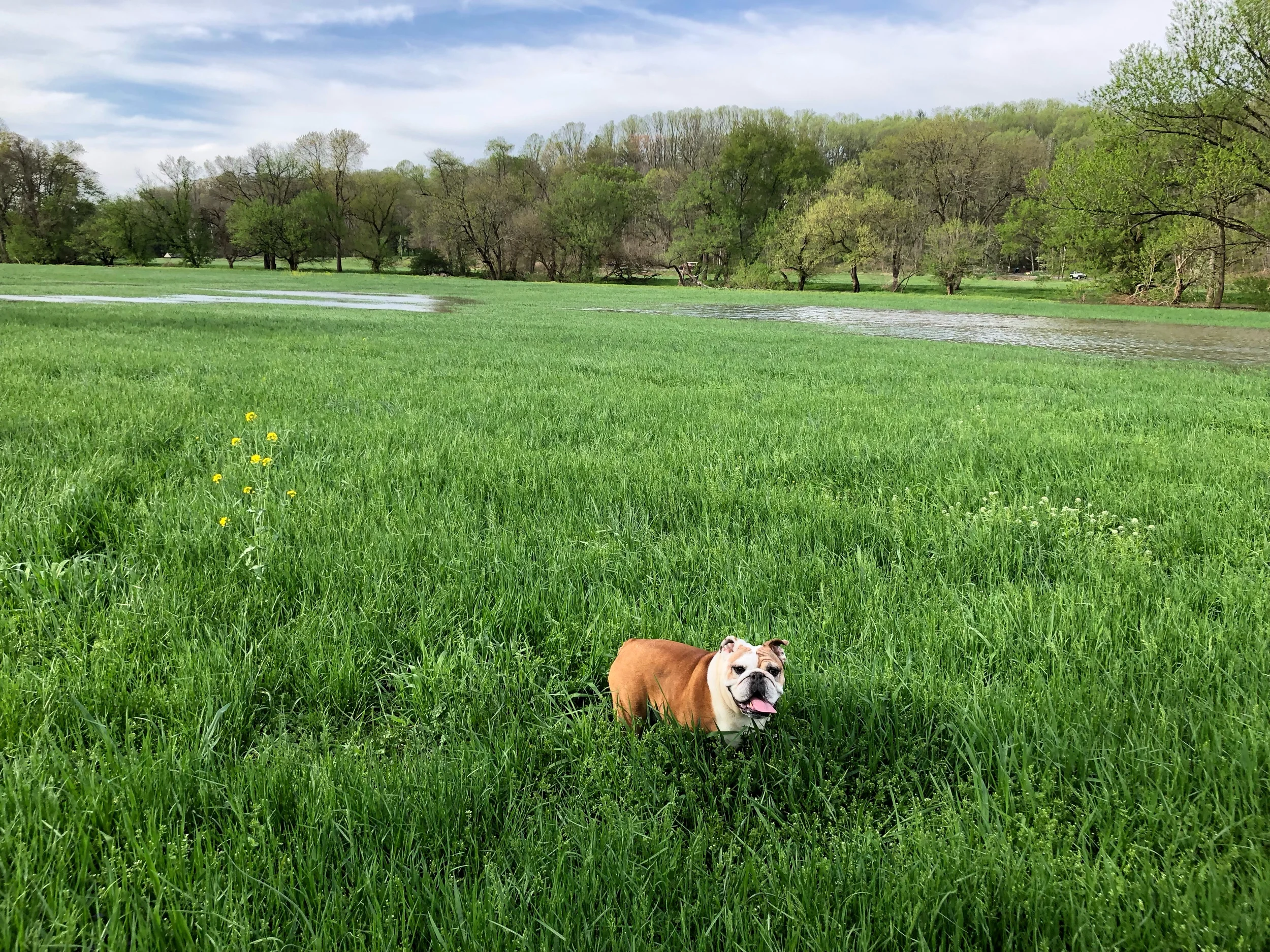 IMG_0473.jpeg