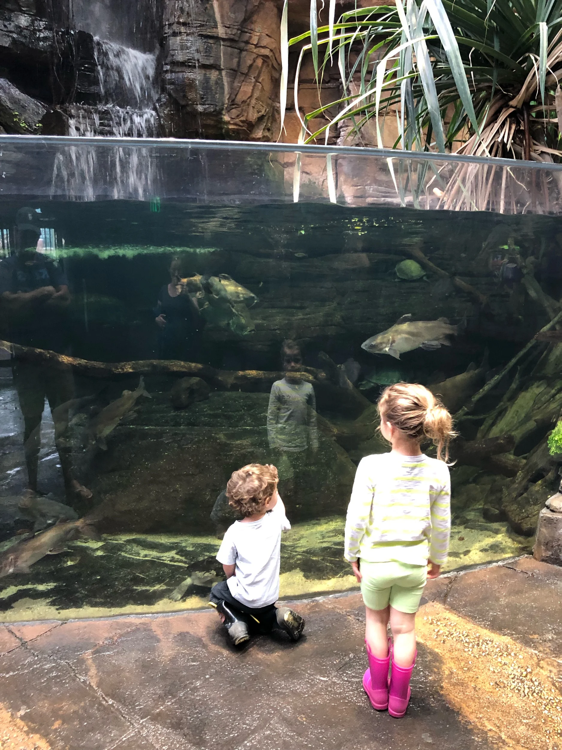 IMG_1136.jpeg