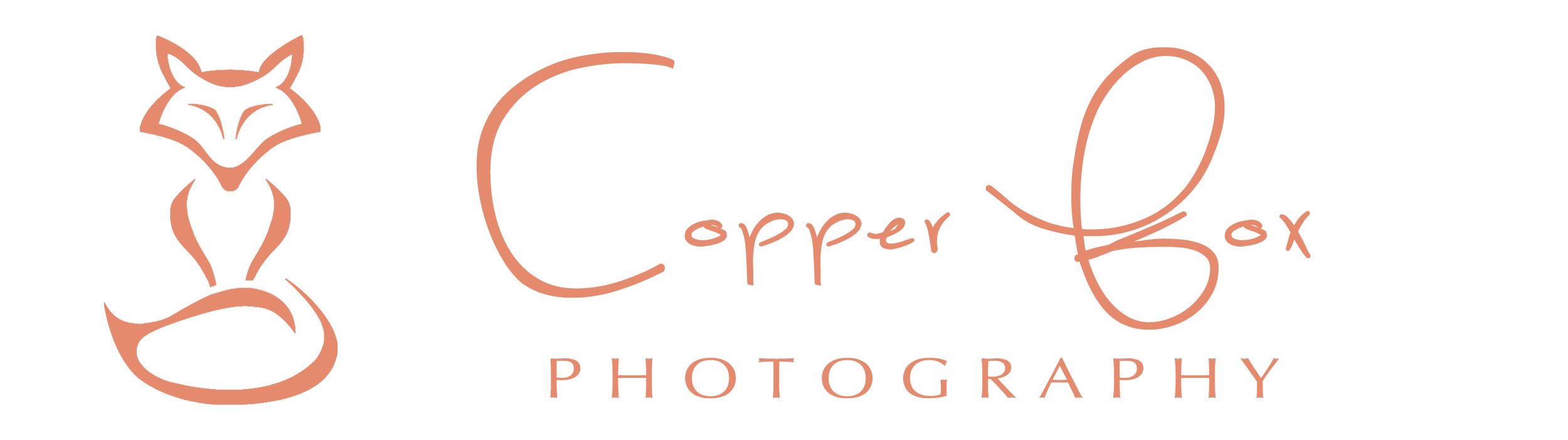 Copper Fox Photography