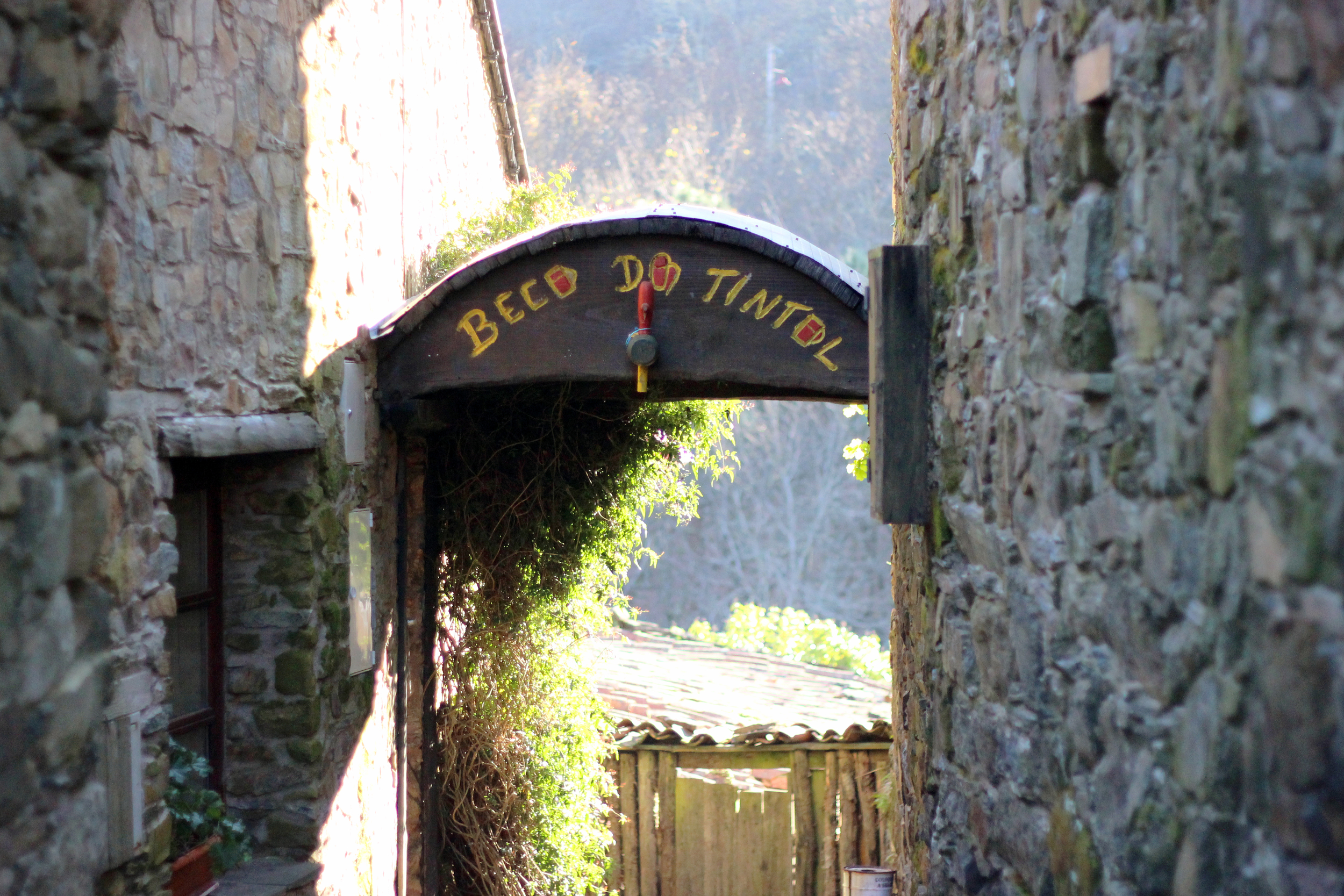 Beco do Tintol in Gondramaz, the red wine corner...