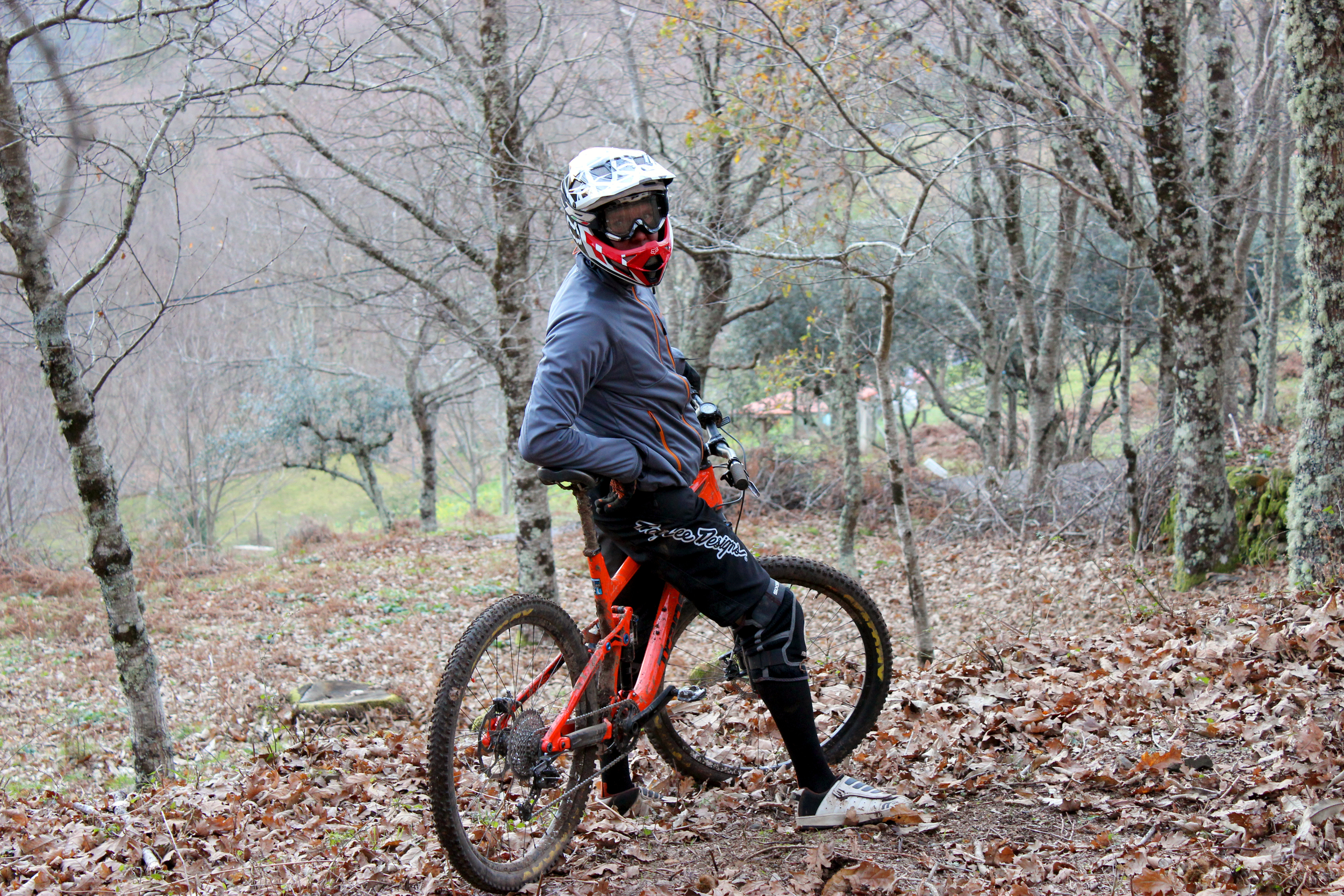 enjoying the leafy side of Gondramaz