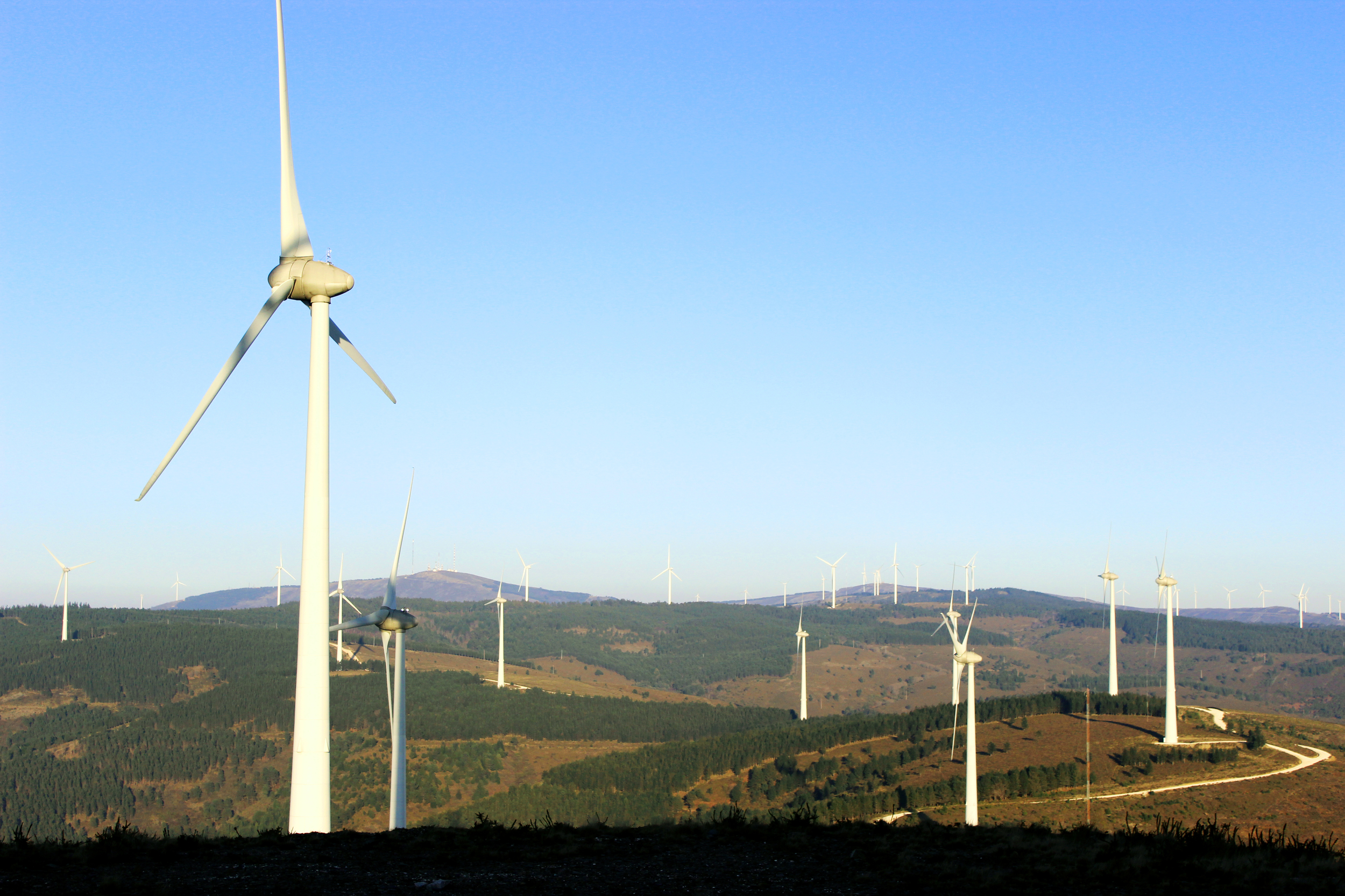 windmills everywhere!