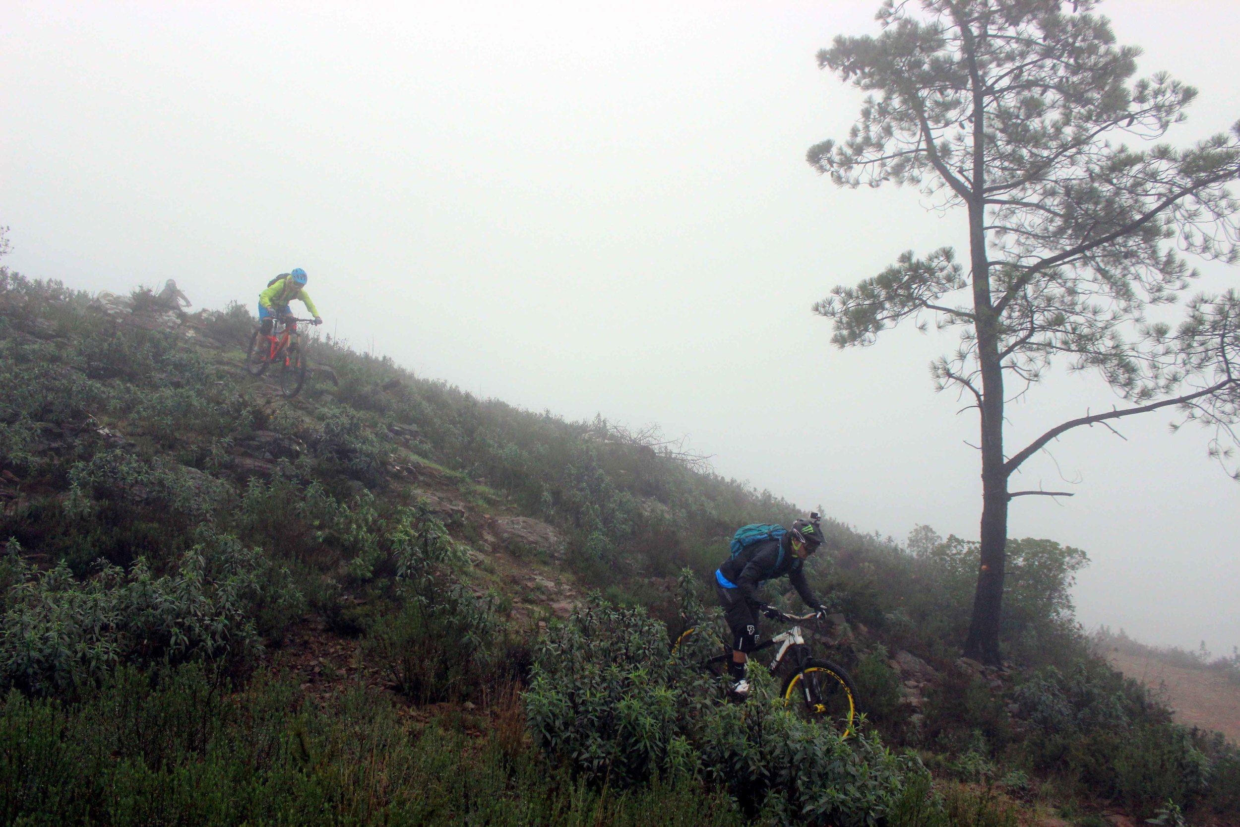 "WERIDE OFFERS PERFECT TRAILS, NATURE, PEOPLE AND A GREAT SERVICE. I WILL BE BACK WITH MY BIKE!" HildeSangesland Strødet